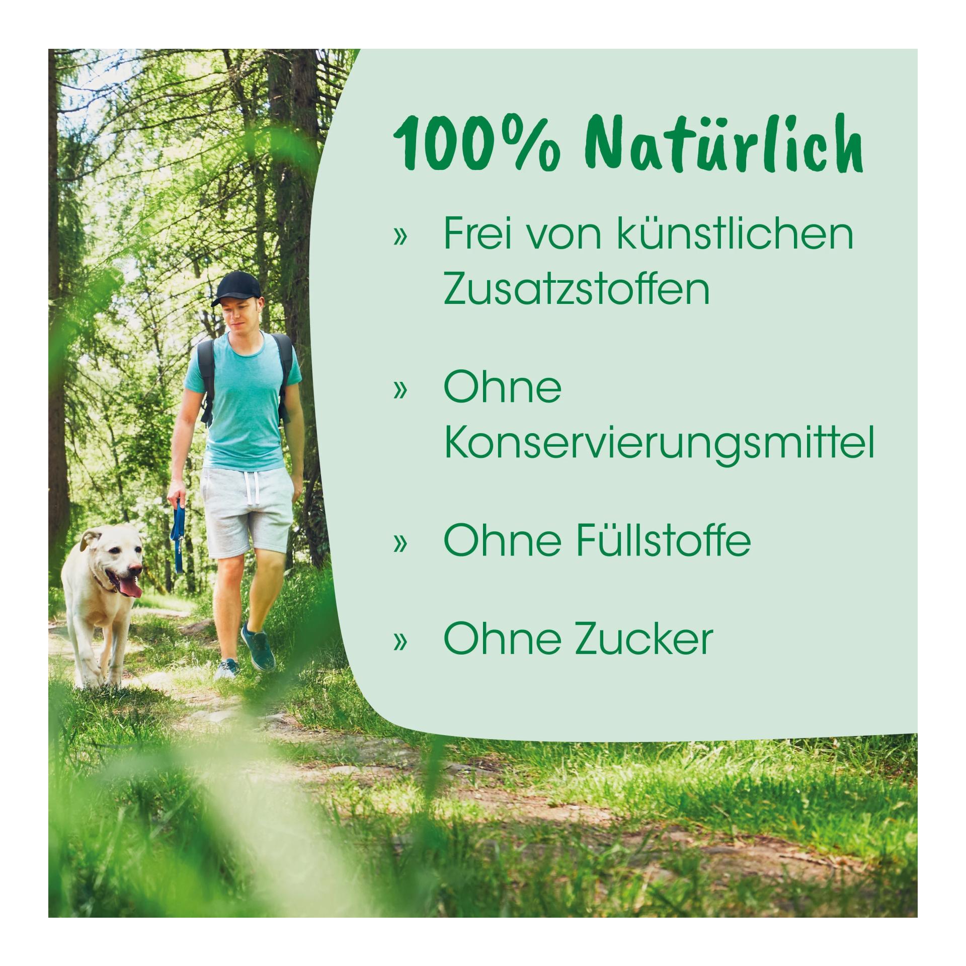 cdVet insektoVet Combi SpotOn