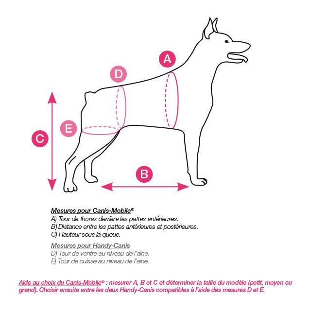Génia Gehhilfe Canis Mobile Handy gross
