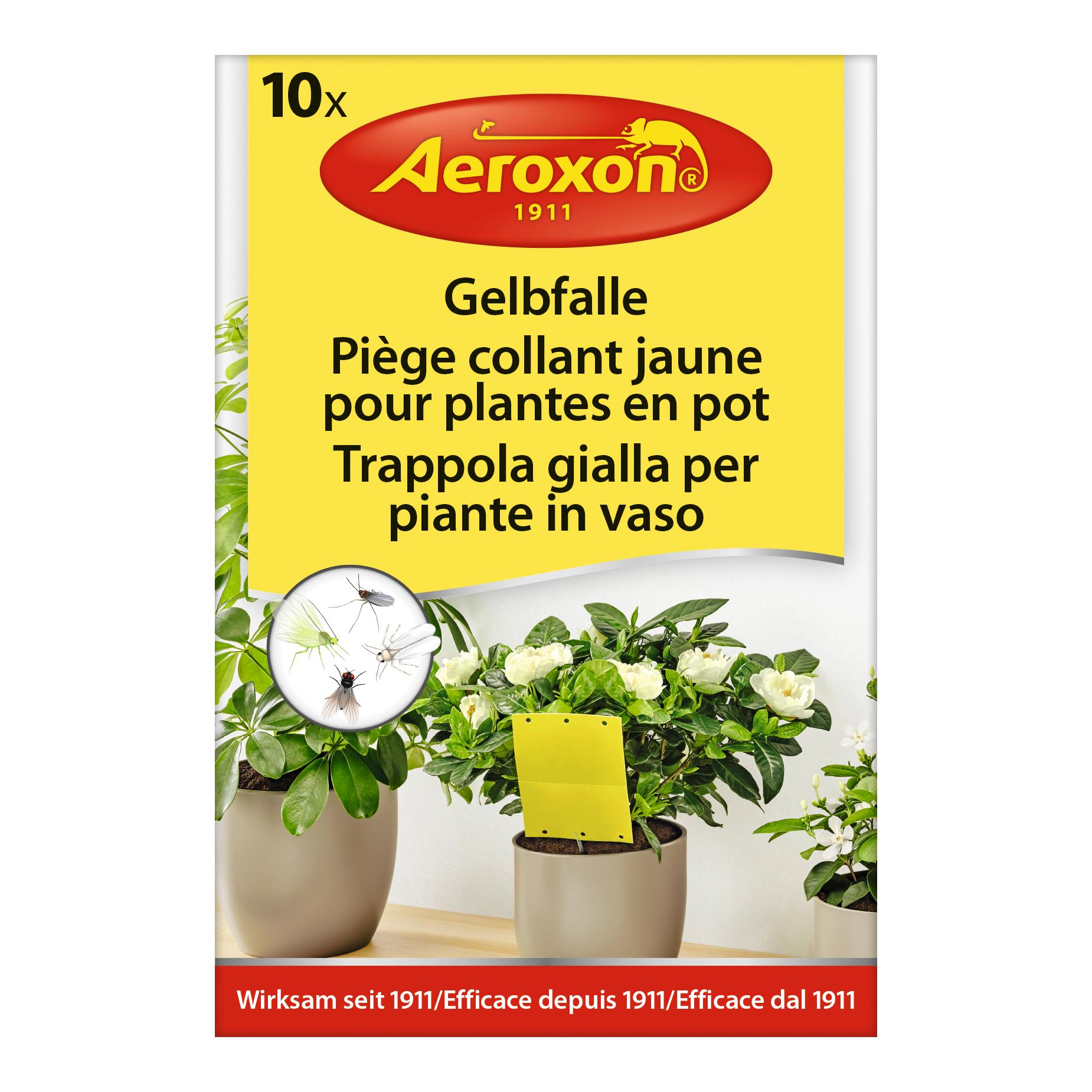 Aeroxon Gelbfalle für Topfpflanzen