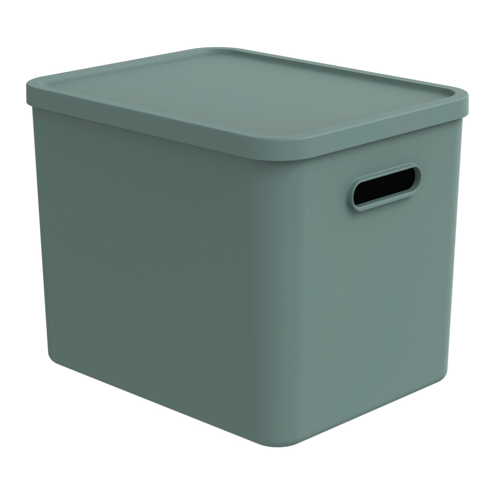 Rotho Multibox ALBULA