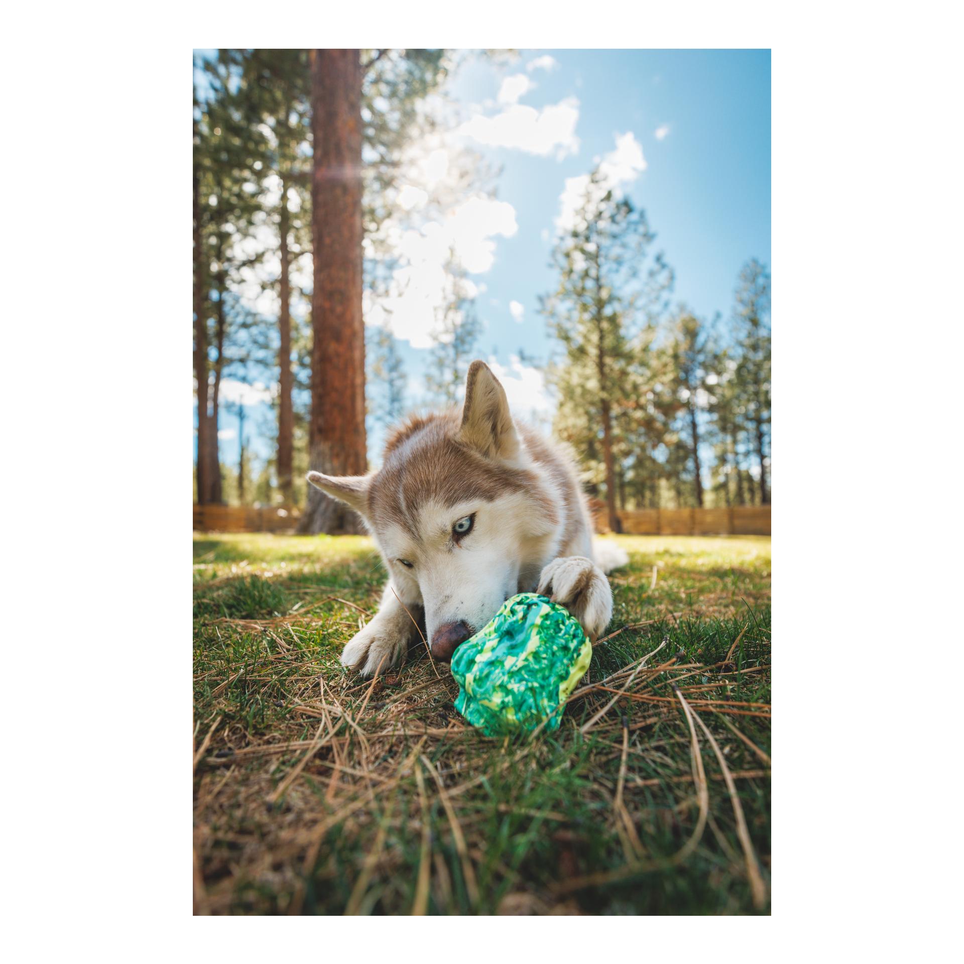 Ruffwear Jouet pour chien Morel