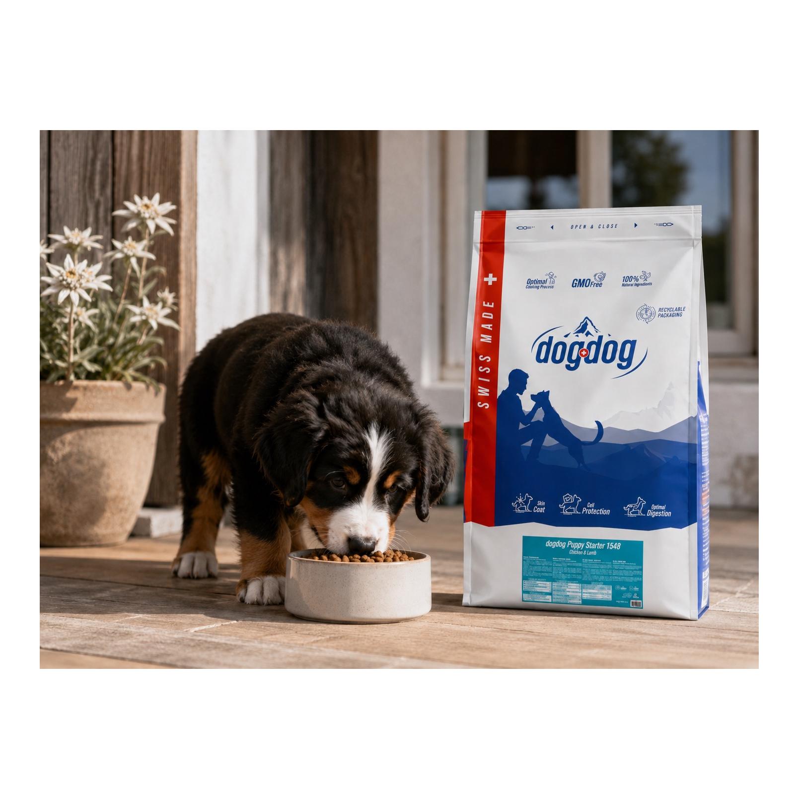 dogdog Croquettes Puppy Starter Agneau - Aliments pour chiots en période de sevrage