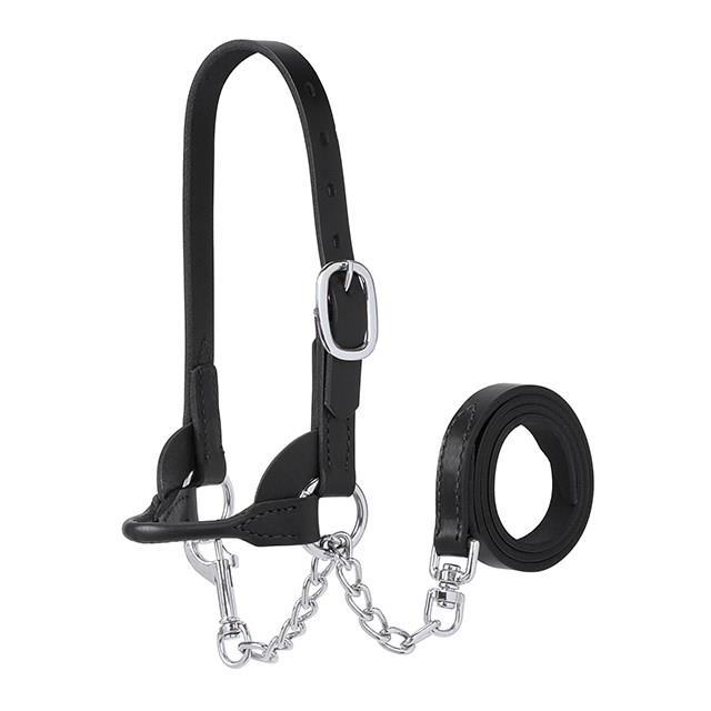 Weaver Livestock Showhalfter für Kälber Black