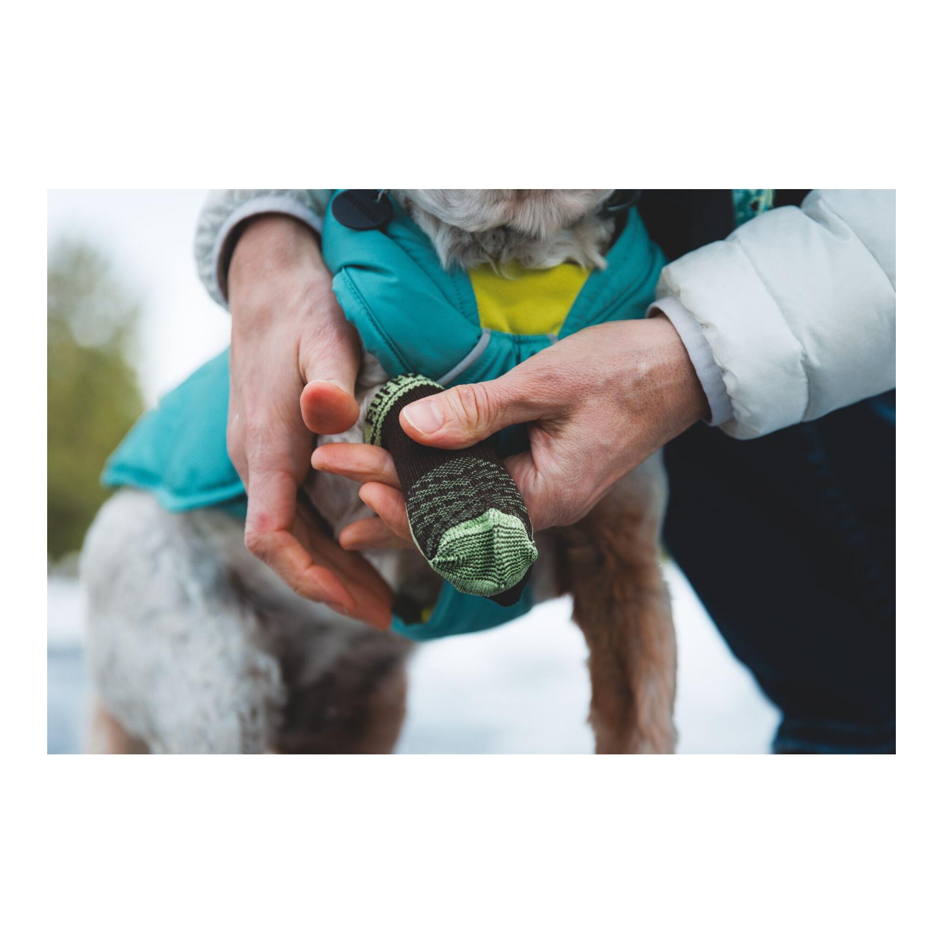 Ruffwear Chaussettes pour chiens Bark'n Boot
