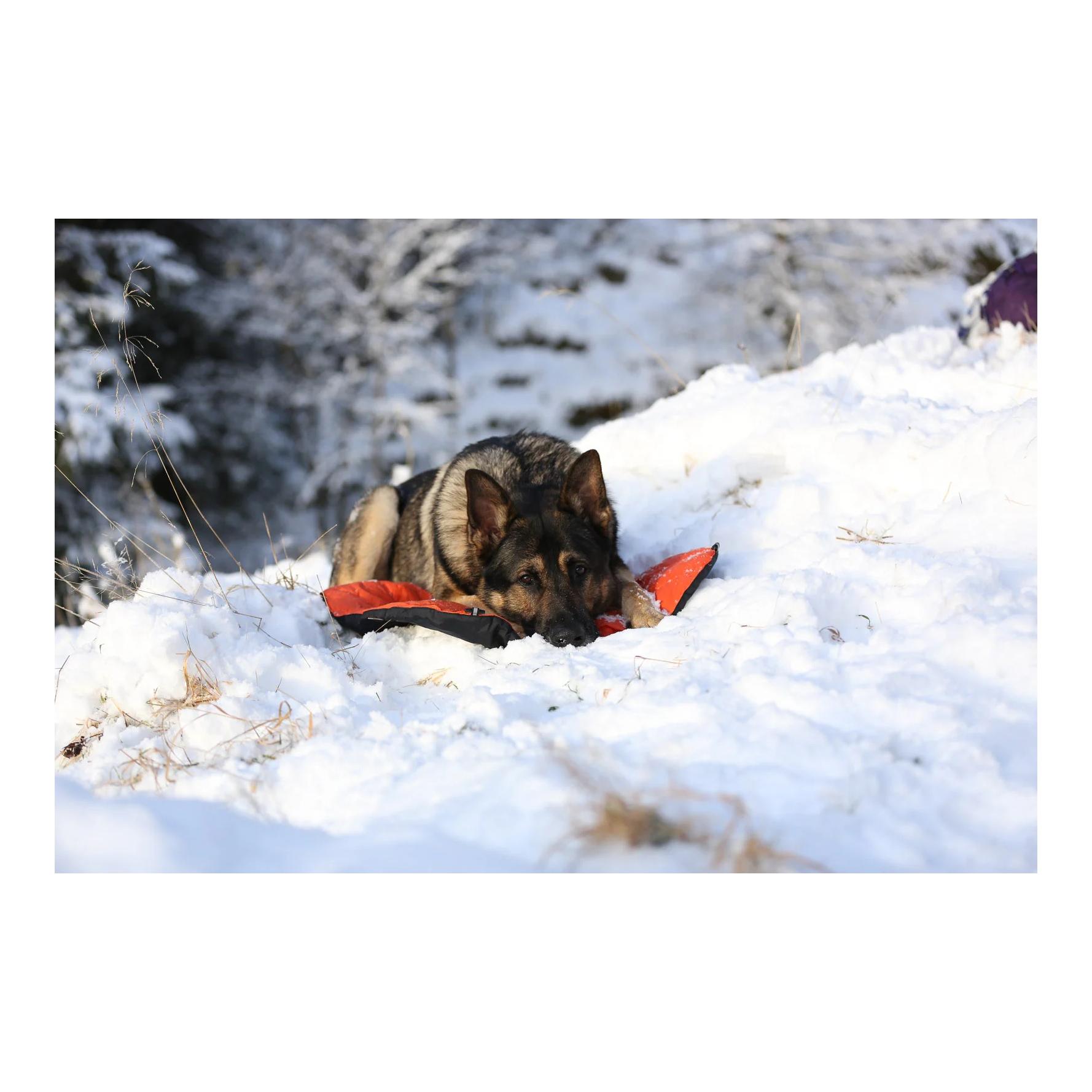 Non-stop Dogwear Lit pour chien Protector Bivvy