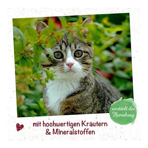 cdVet feliTATZ HarnwegeWohl