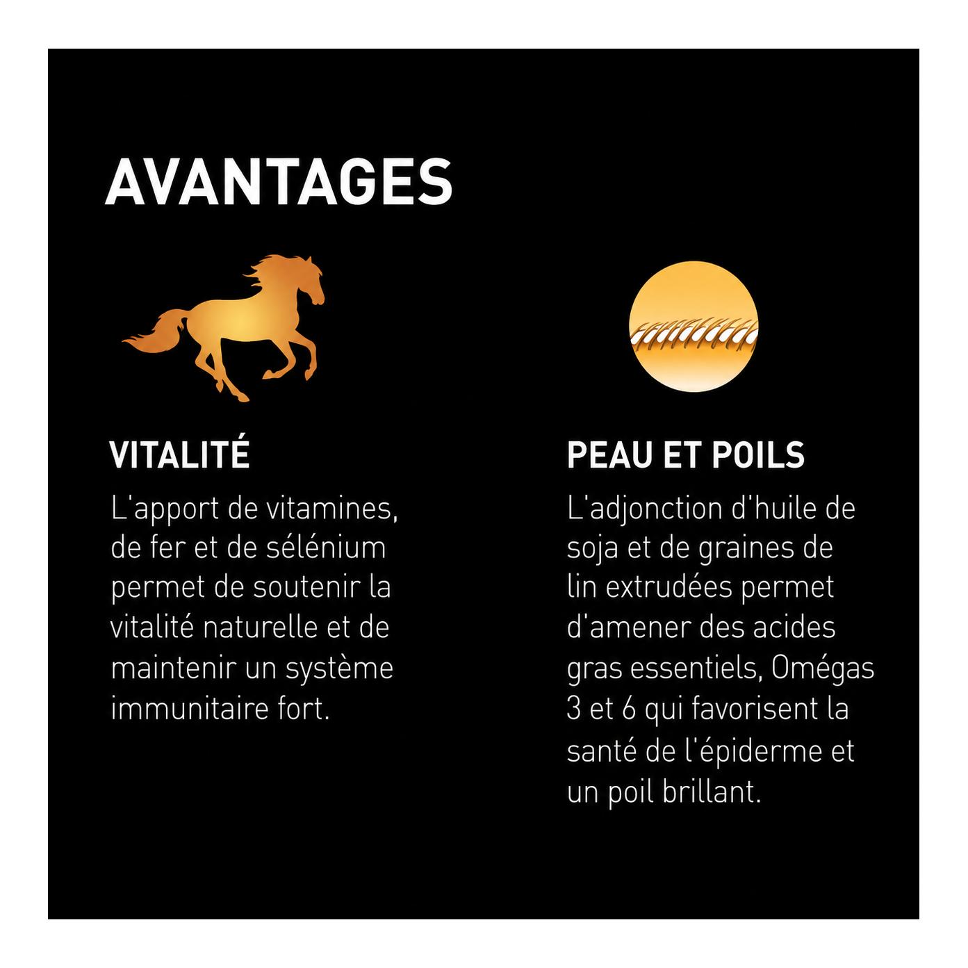 granovit Cavallo Western-Mix sans avoine - Aliment pour chevaux de loisirs, granulés et flocons