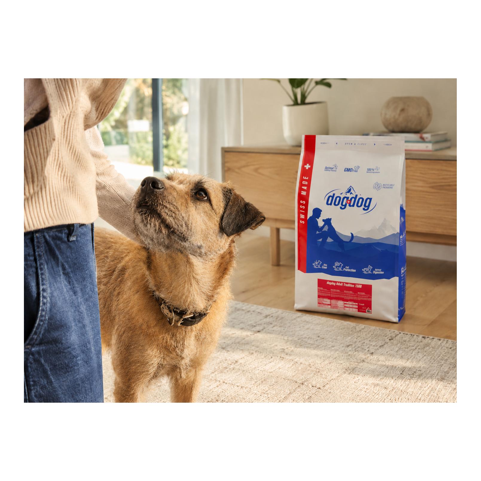 dogdog Adult Tradition - Aliments pour chiens adultes