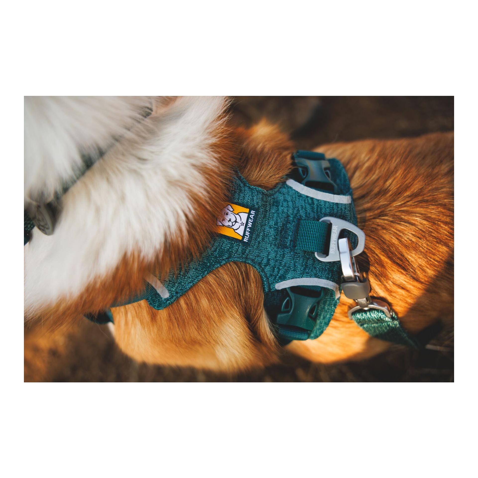 Ruffwear Front Range® Flex Harnais pour chien