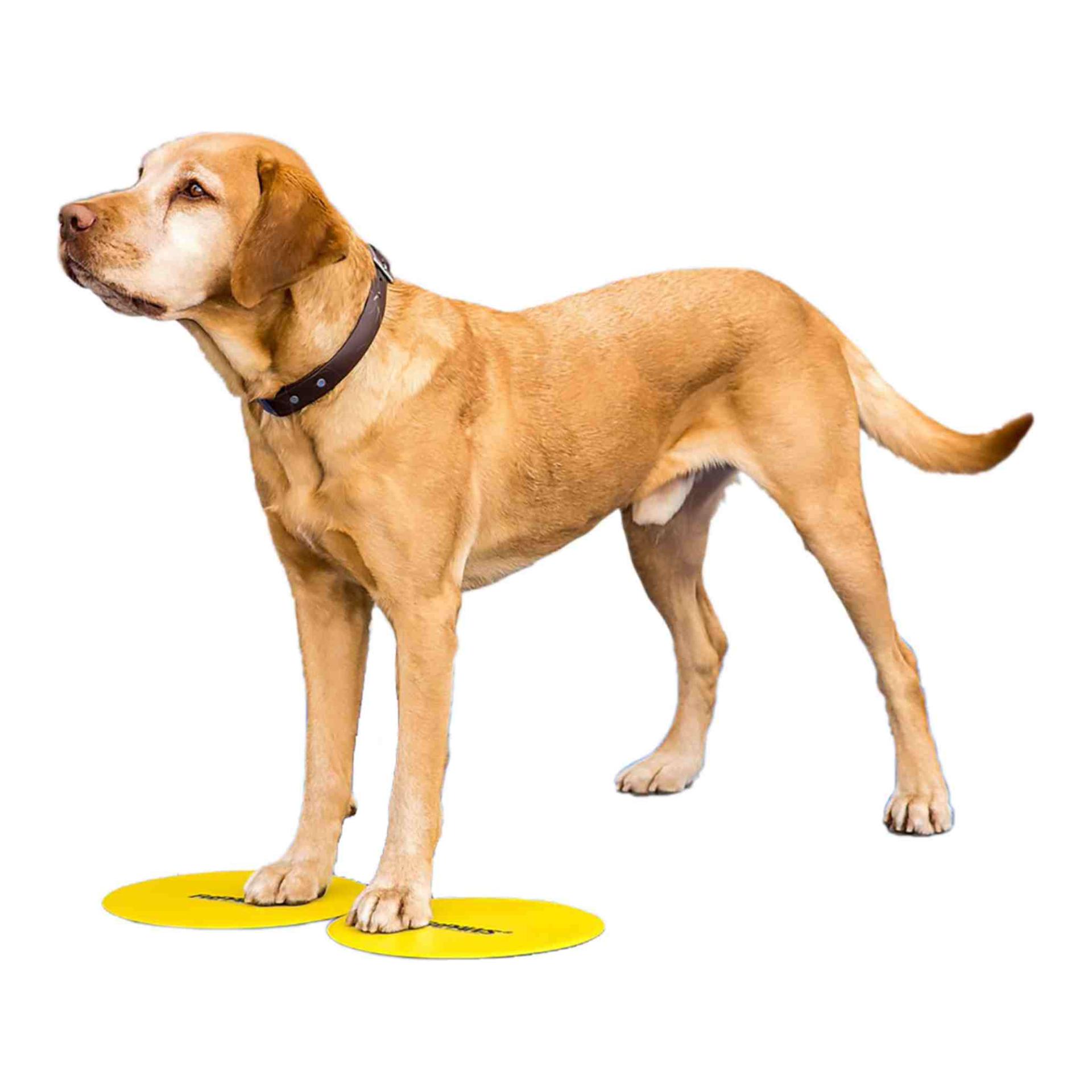 FitPaws Target 4 pcs.