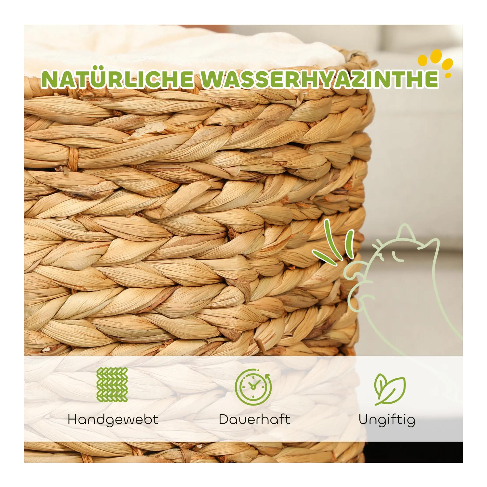 Mainer Katzenhöhle