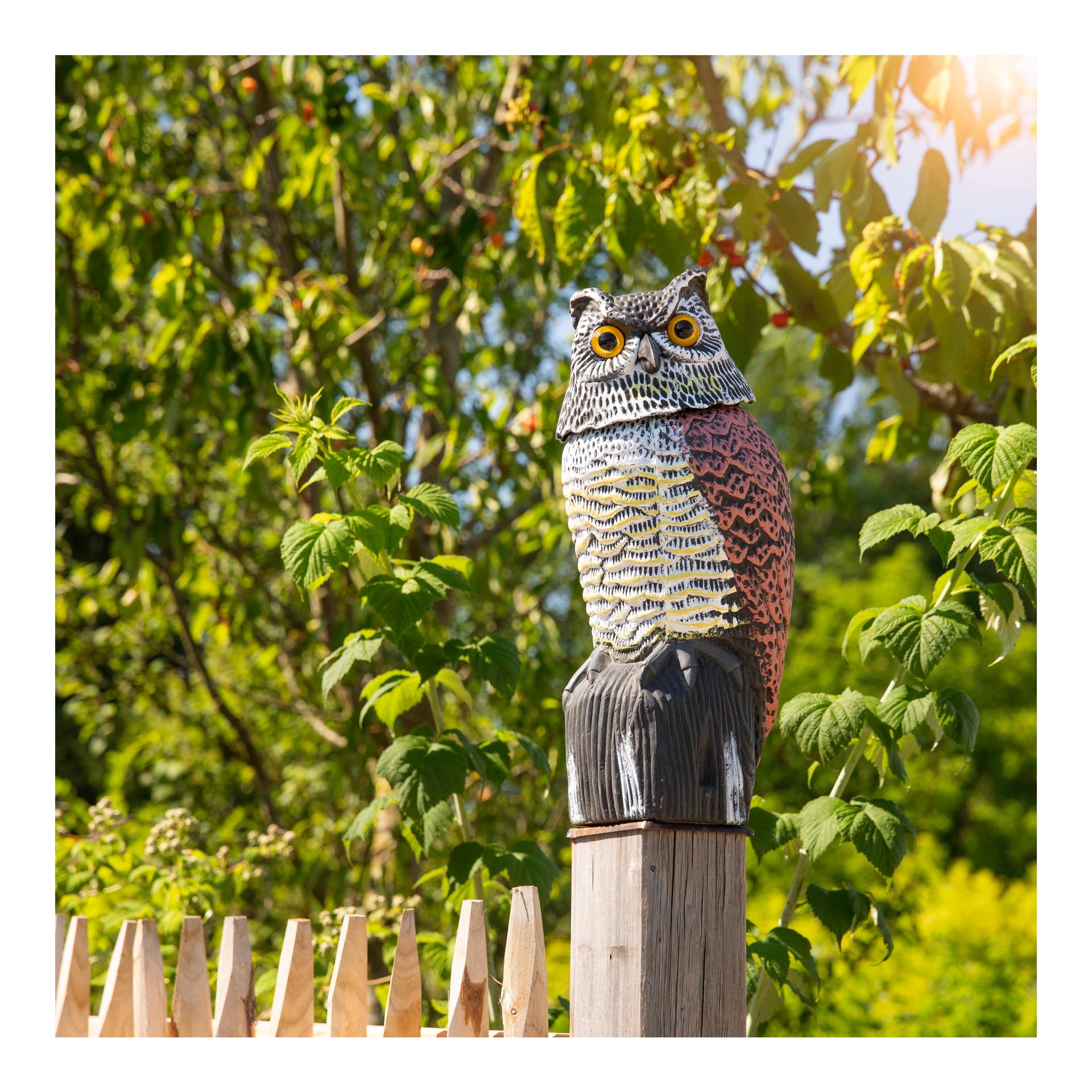 Windhager Chasse-hiboux