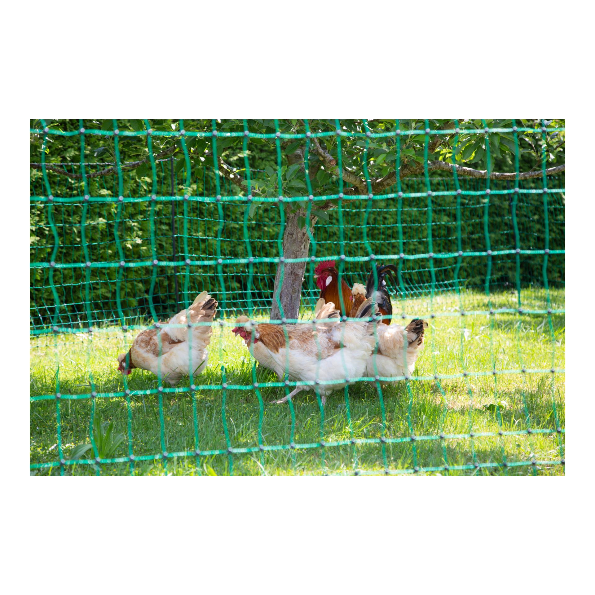 AKO Geflügelnetz PoultryNet - Doppelspitz