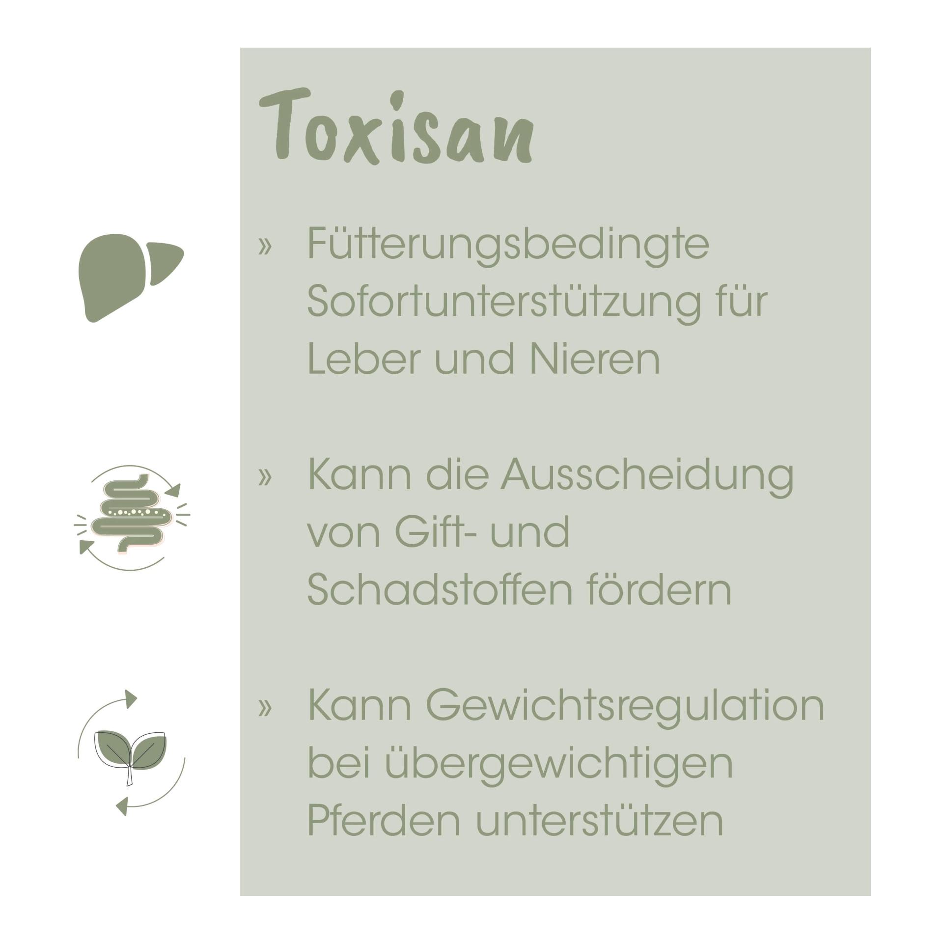 cdVet EquiGreen Toxisan