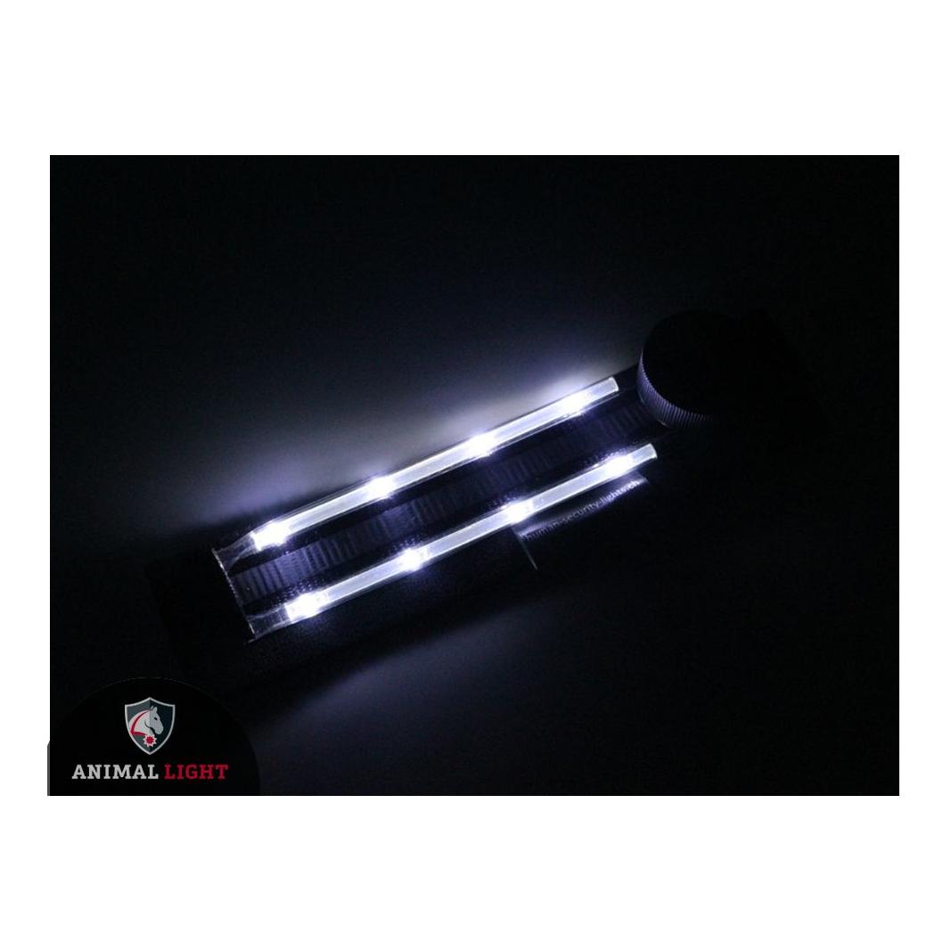 Animal Light Leucht - Hundegeschirr "Flex" - weiss