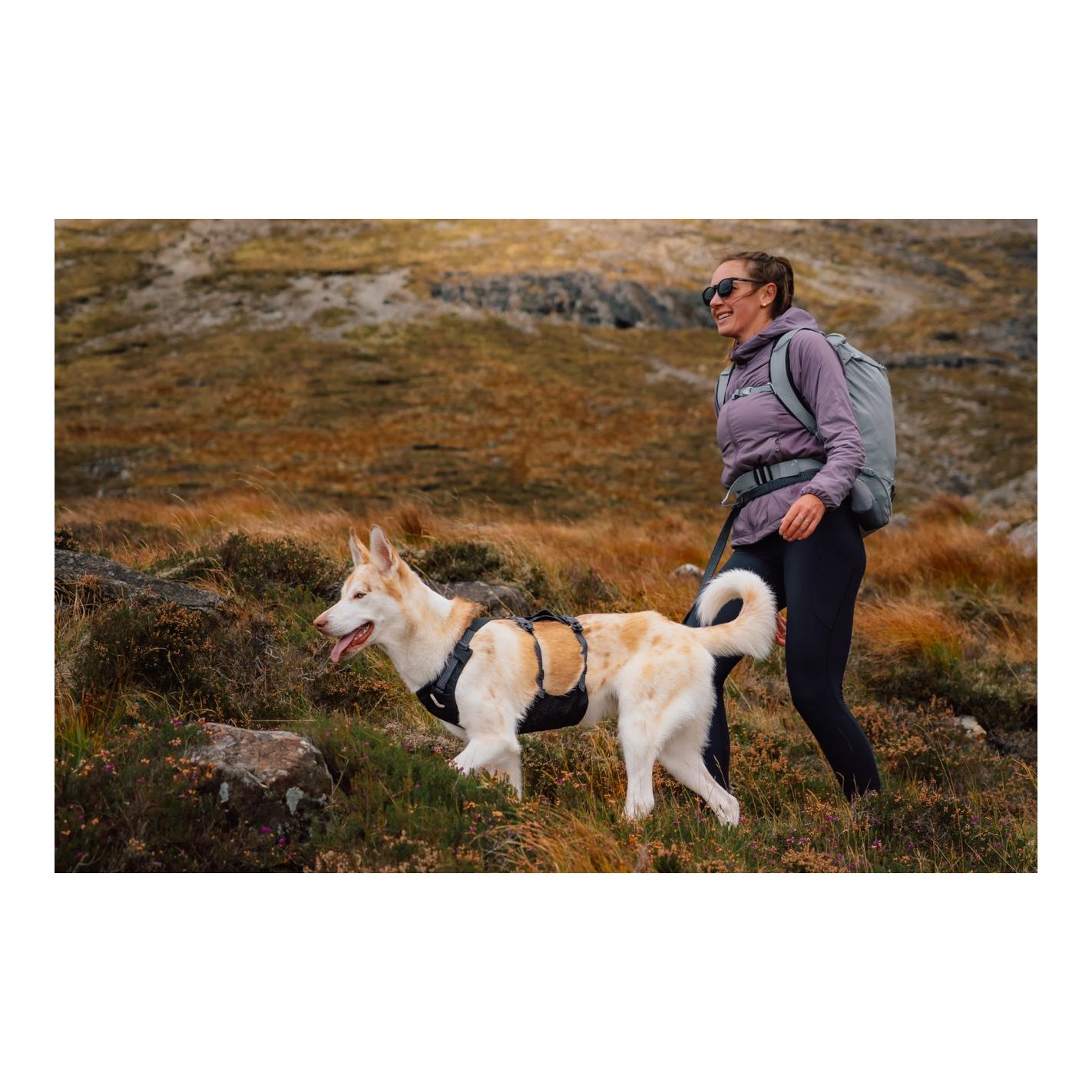 Ruffwear Ridgeline™ Harnais pour chien