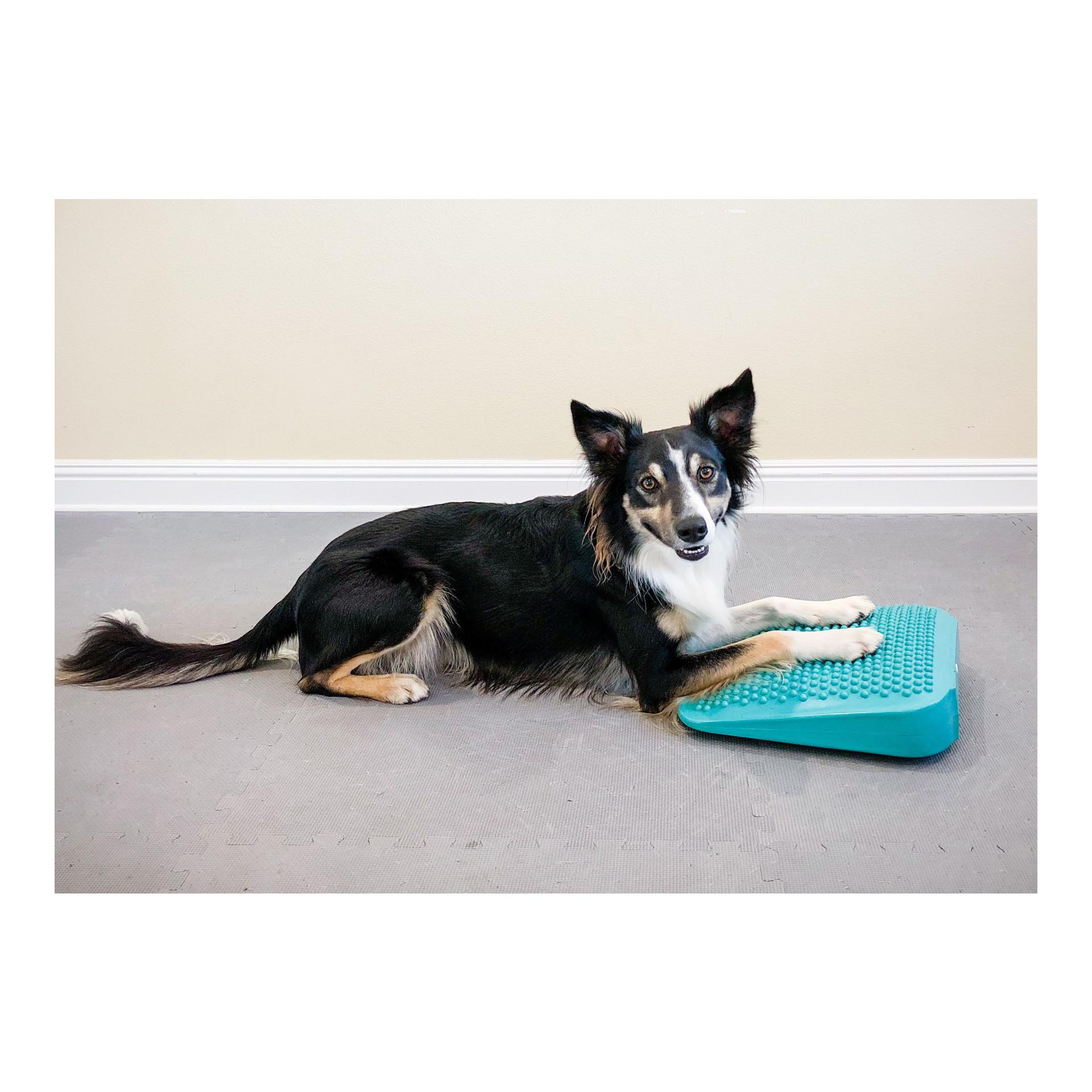 FitPaws Balance Ramp