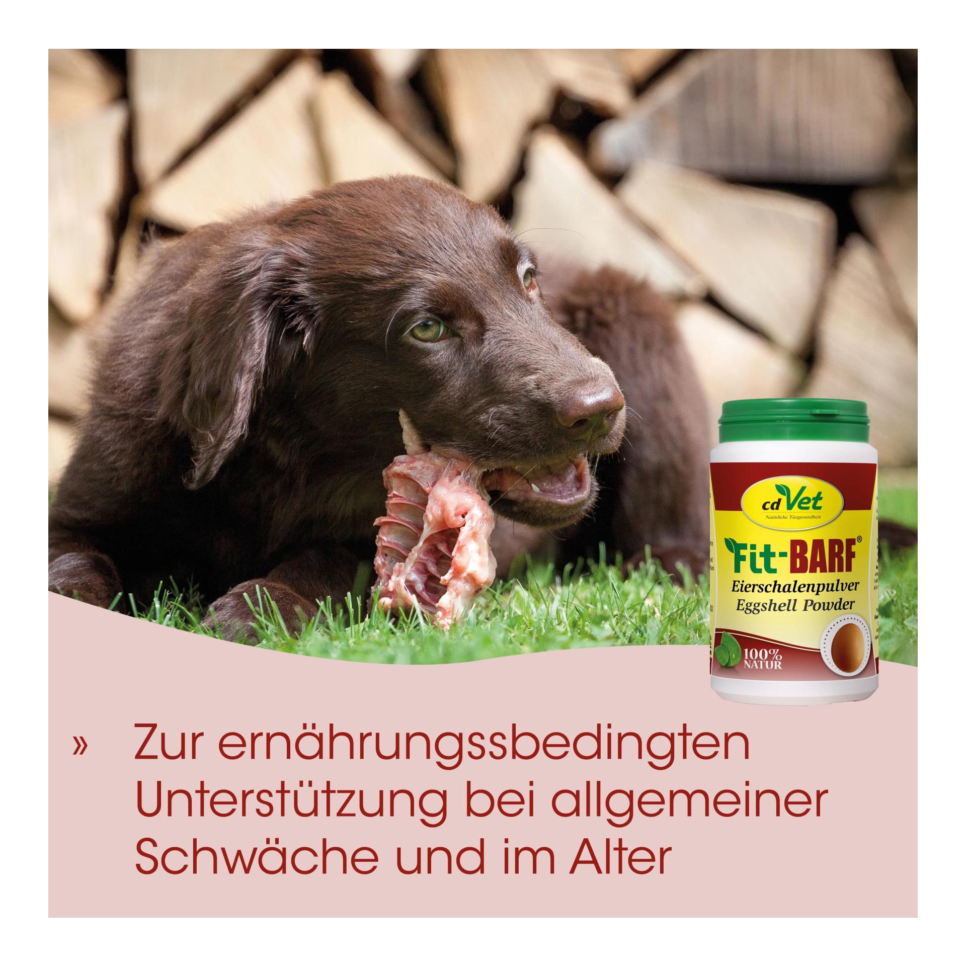 cdVet Fit-BARF Eierschalenpulver