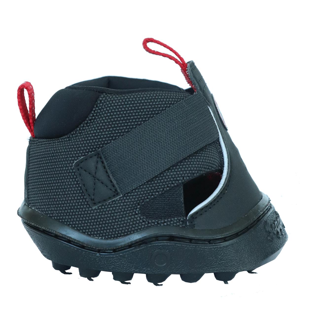 Equine Fusion Equine Fusion Trekking Shoe Regular