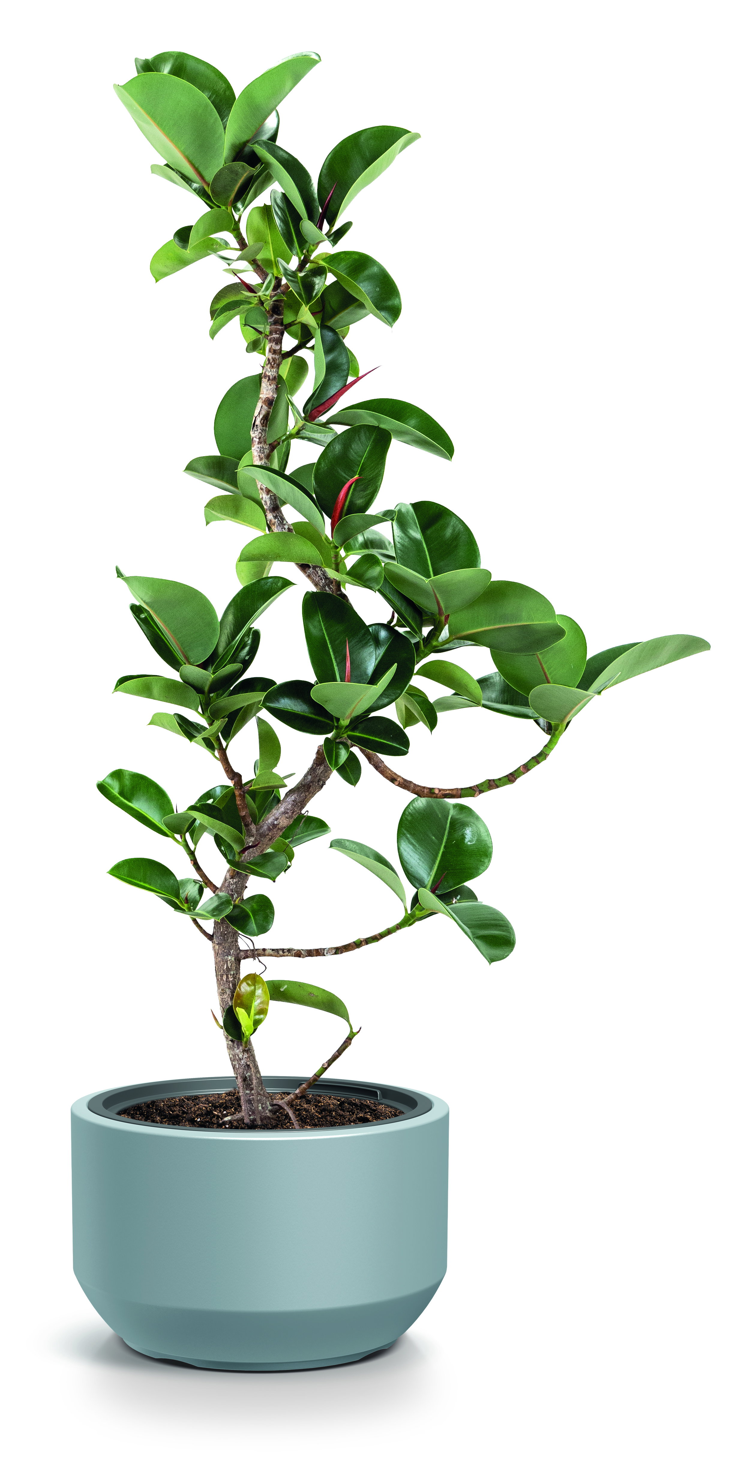 Prosperplast Blumentopf Heos