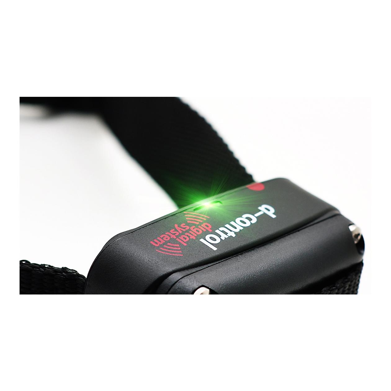 Dogtrace D-Control 1600+ Ferntrainer