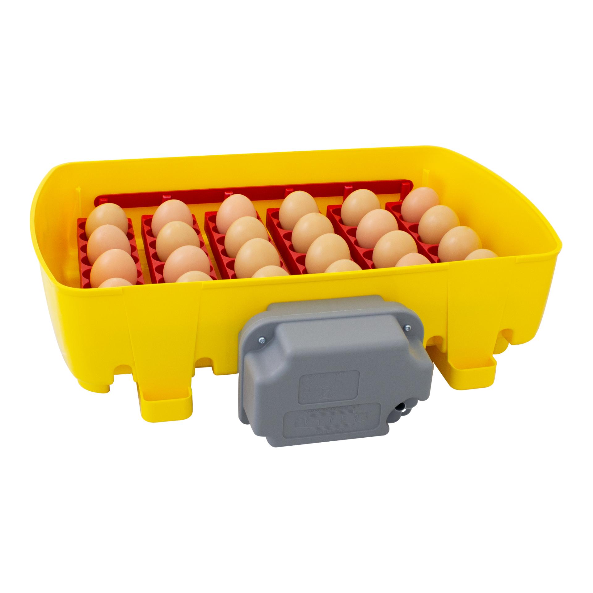 River Couveuse automatique pour œufs ET24 Biomaster