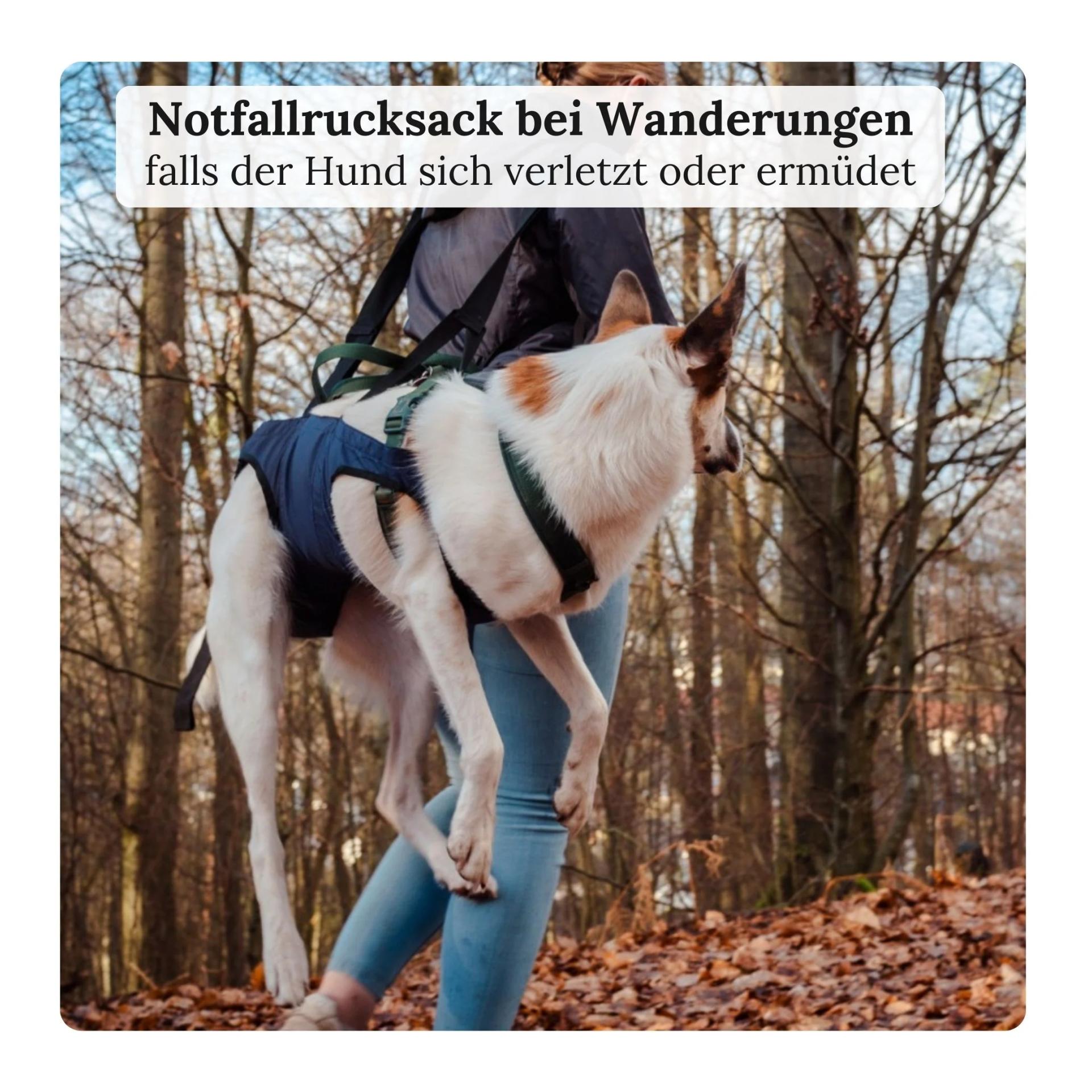Wanderpfote Notfallrucksack & Tragehilfe für Hunde