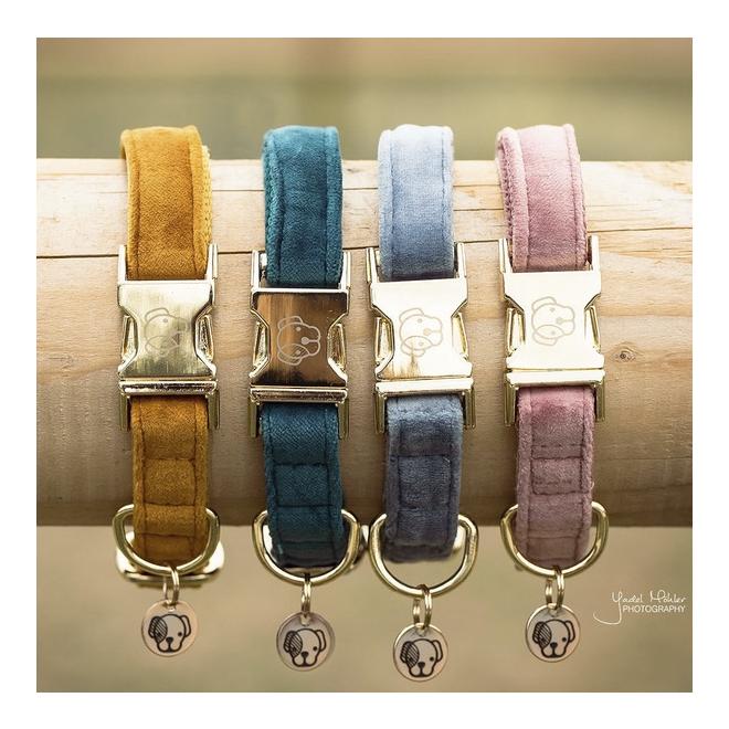 Kentucky Dogwear Hundehalsband Velvet - emerald