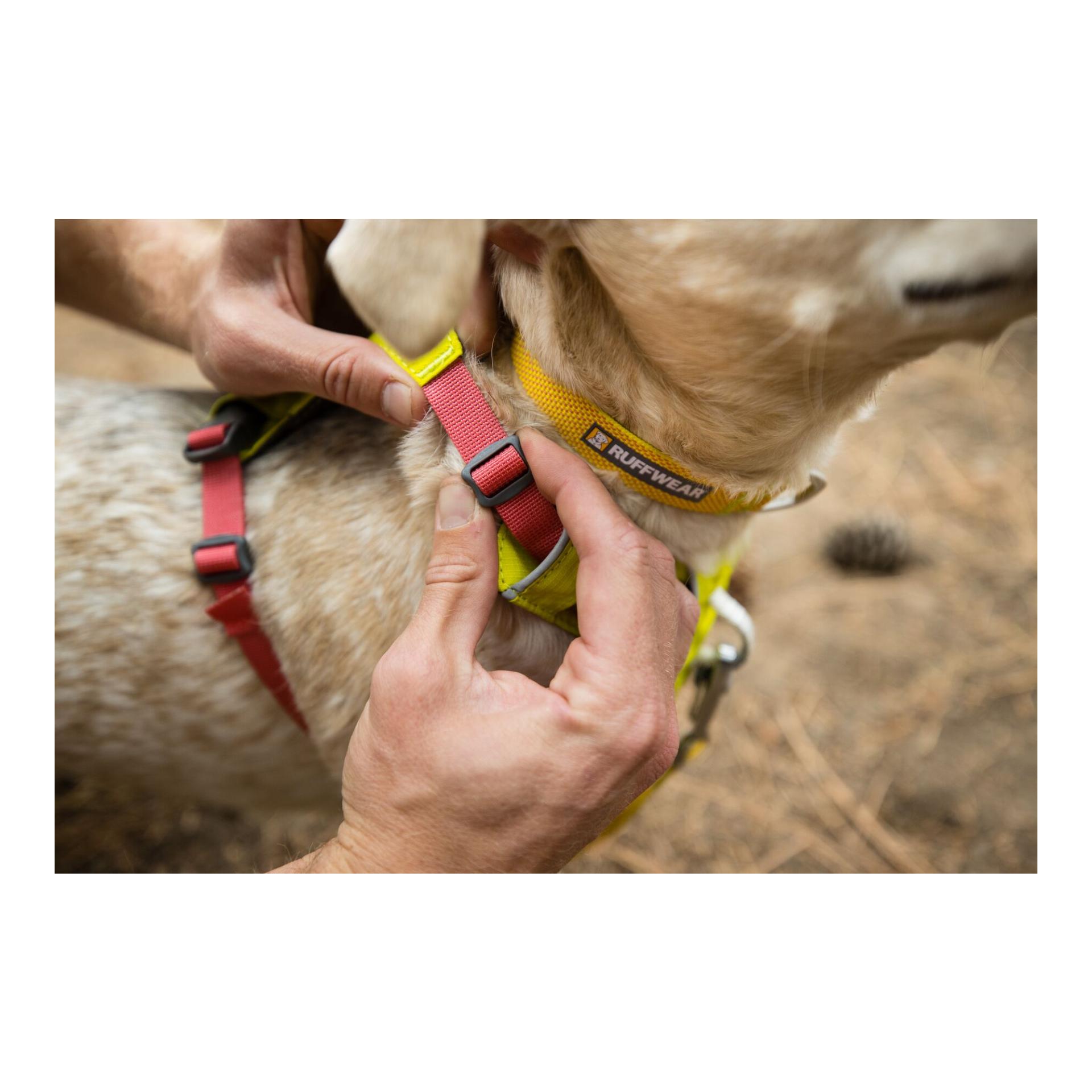 Ruffwear Harnais Hi &amp; Light™