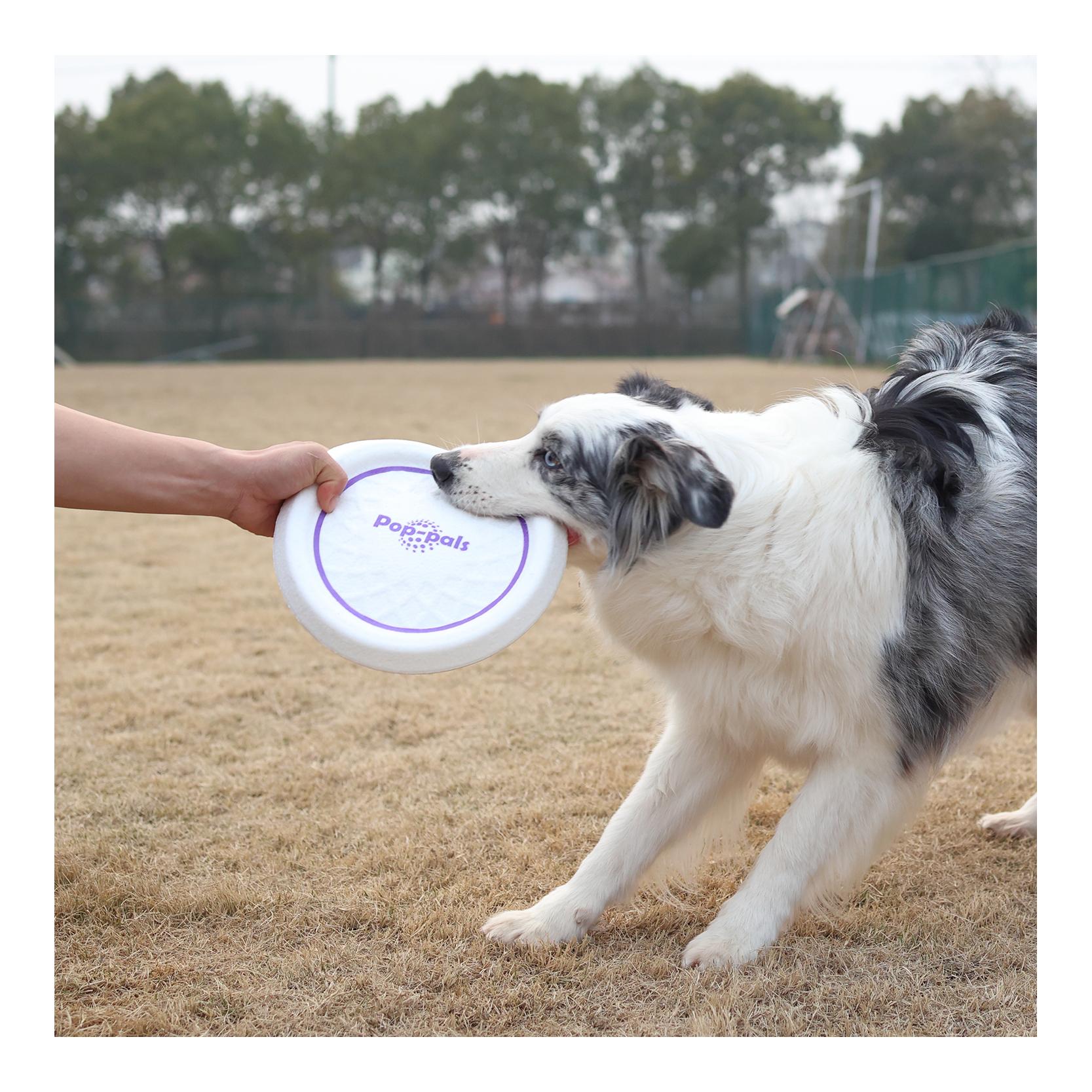 Gigwi Bounce Pop Pal Frisbee