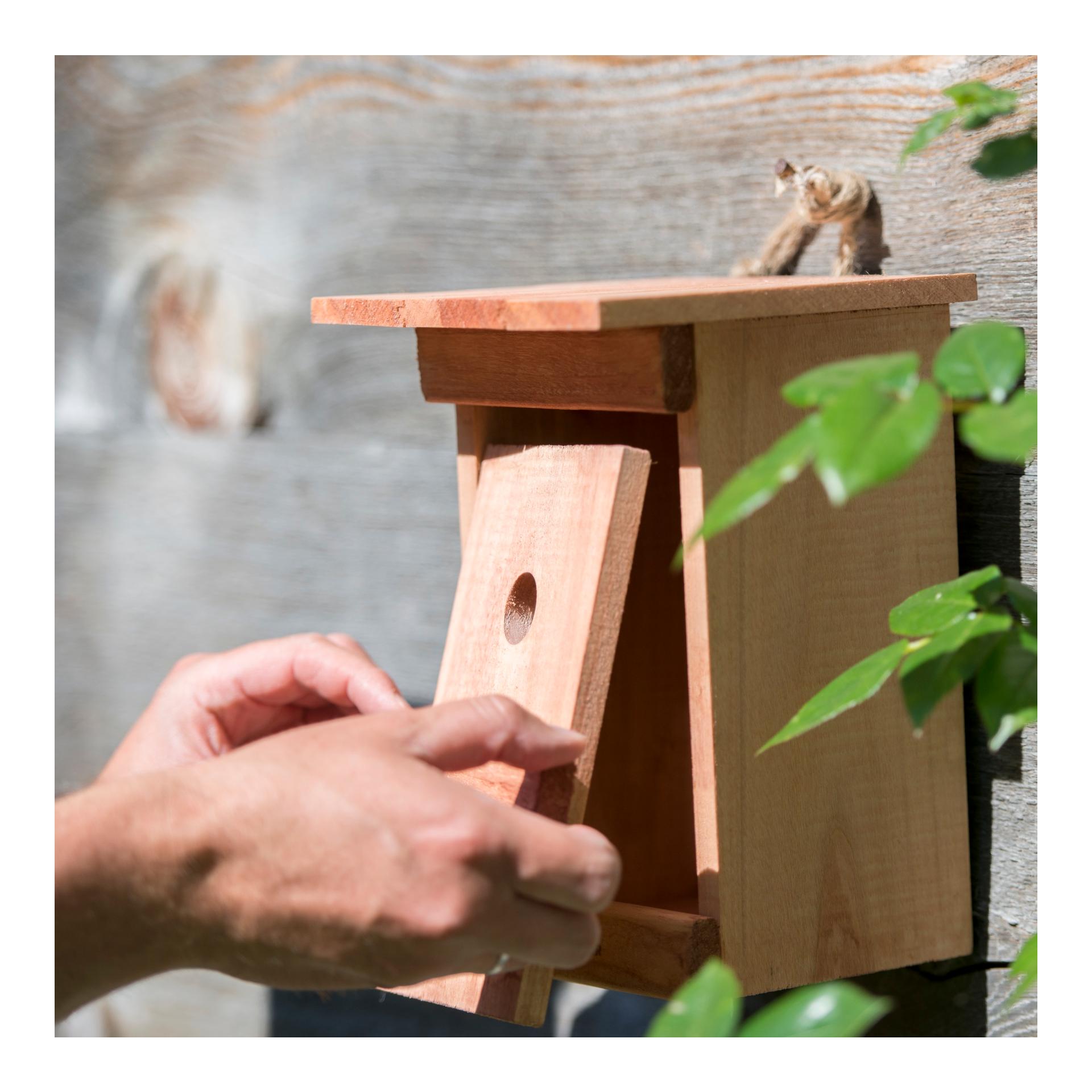 Windhager Nistkasten Birdy - natur
