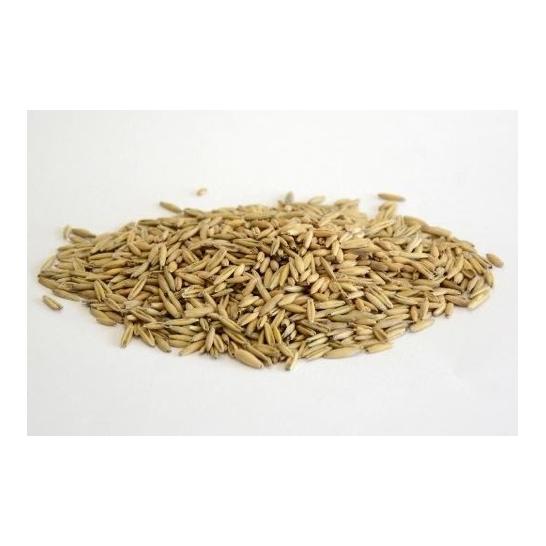 Mühle Rytz Avoine bio entière – Aliment complémentaire pour chevaux & ruminants