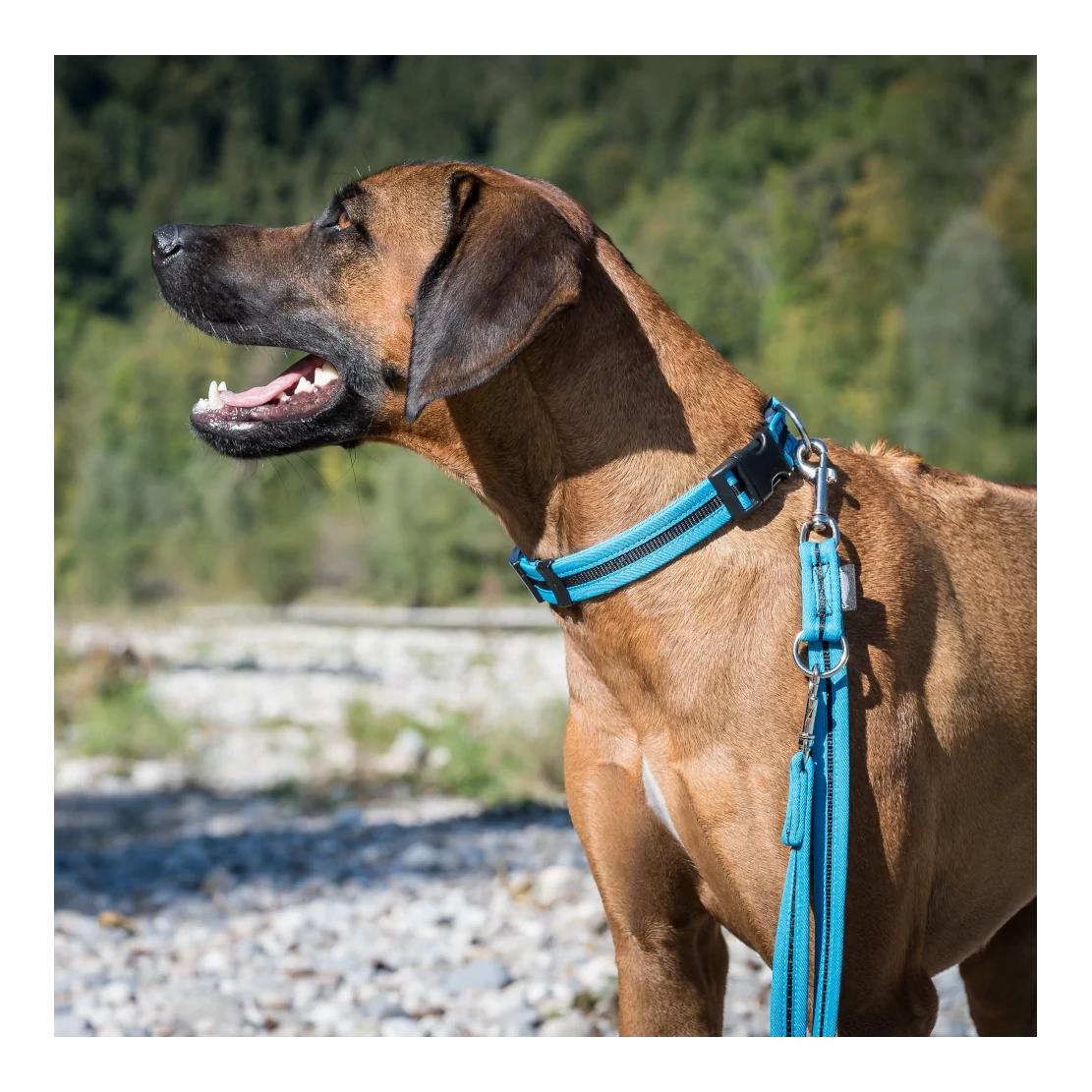 Beat Grossenbacher Halsband eingefasst, direkt