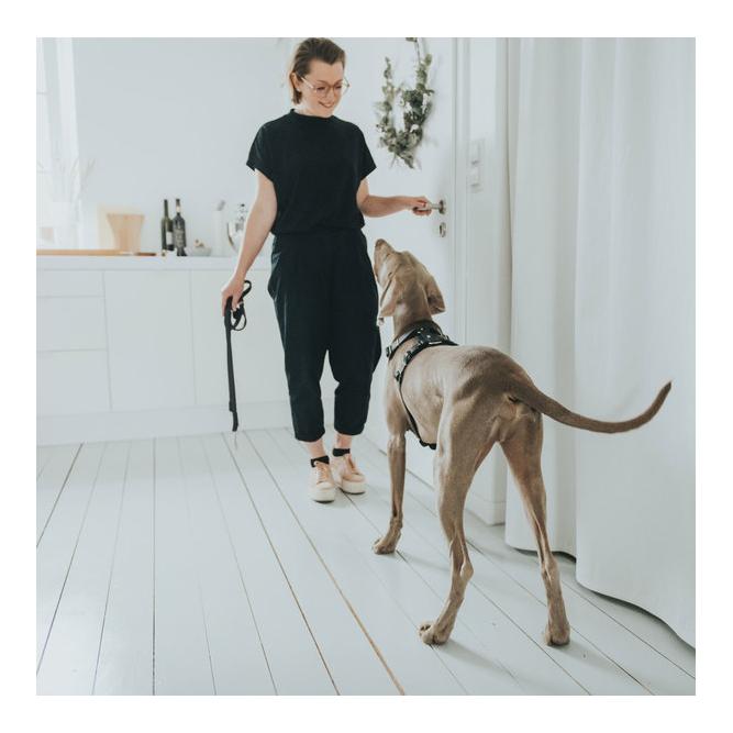 Hunter Harnais Aalborg - cuir/noir