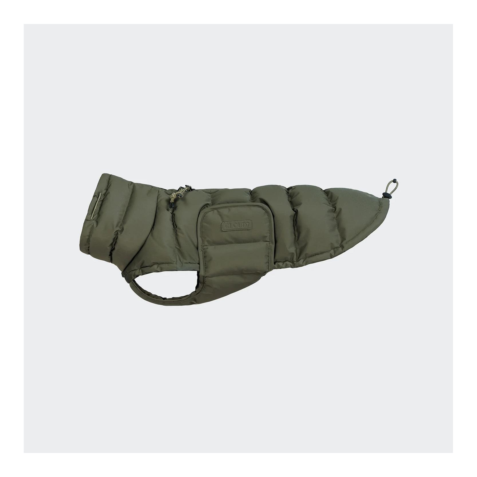 Light Olive