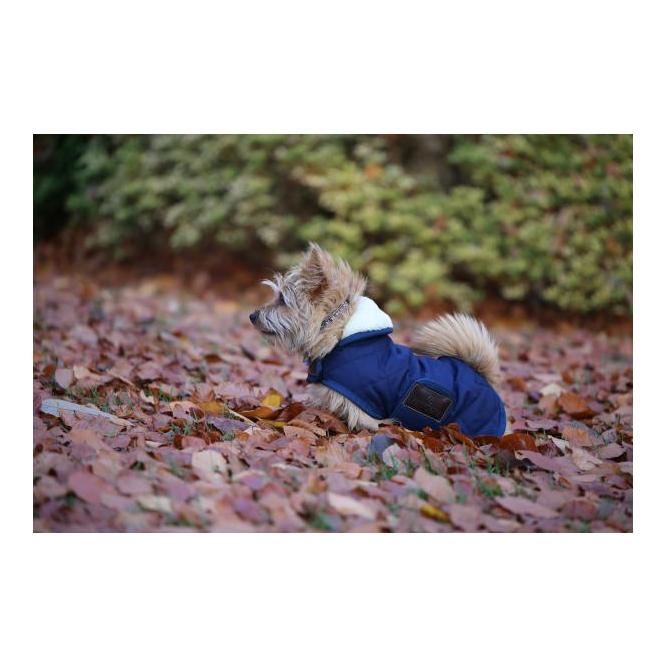 Kentucky Dogwear Manteau pour chien Original - marine