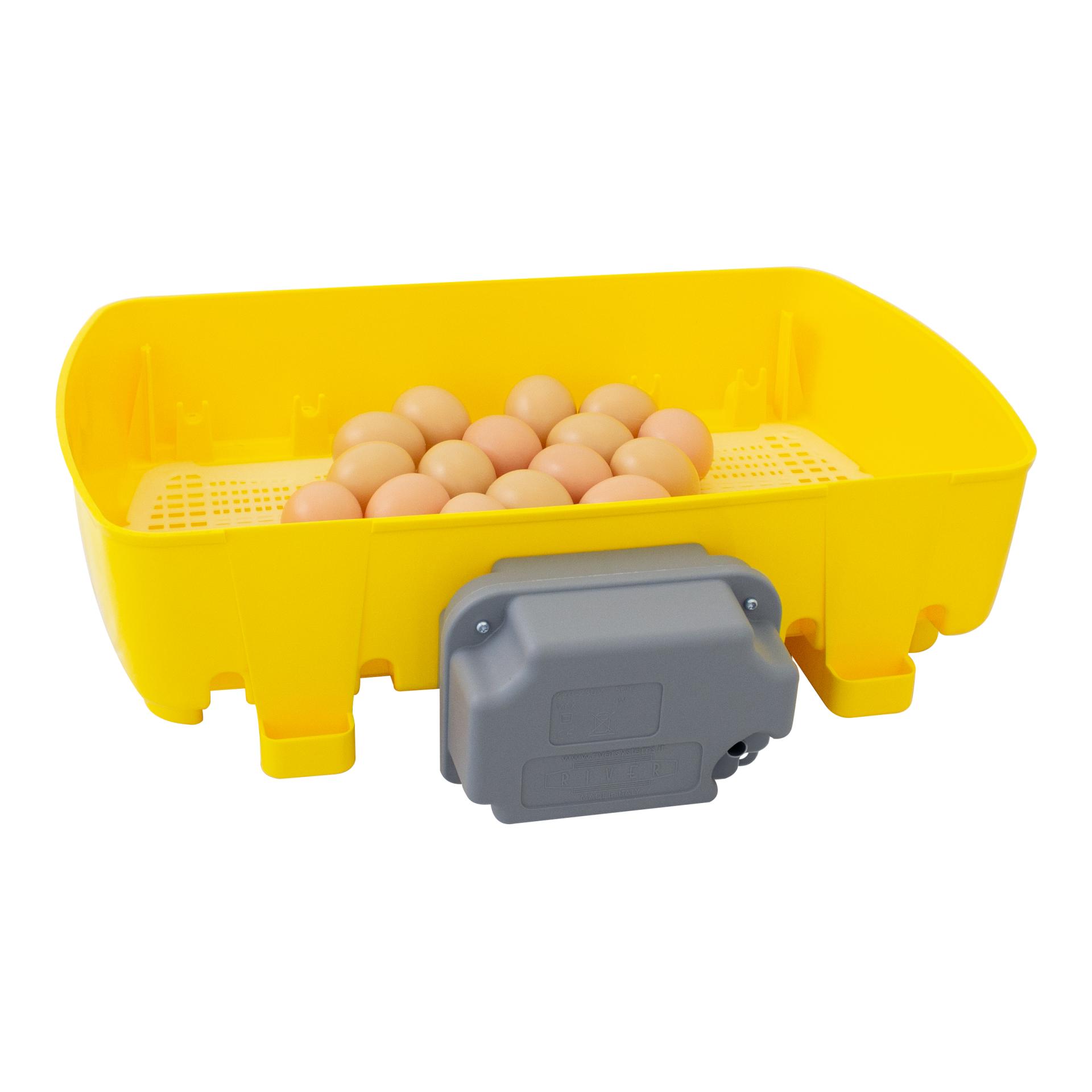 River Couveuse automatique pour œufs ET24 Biomaster