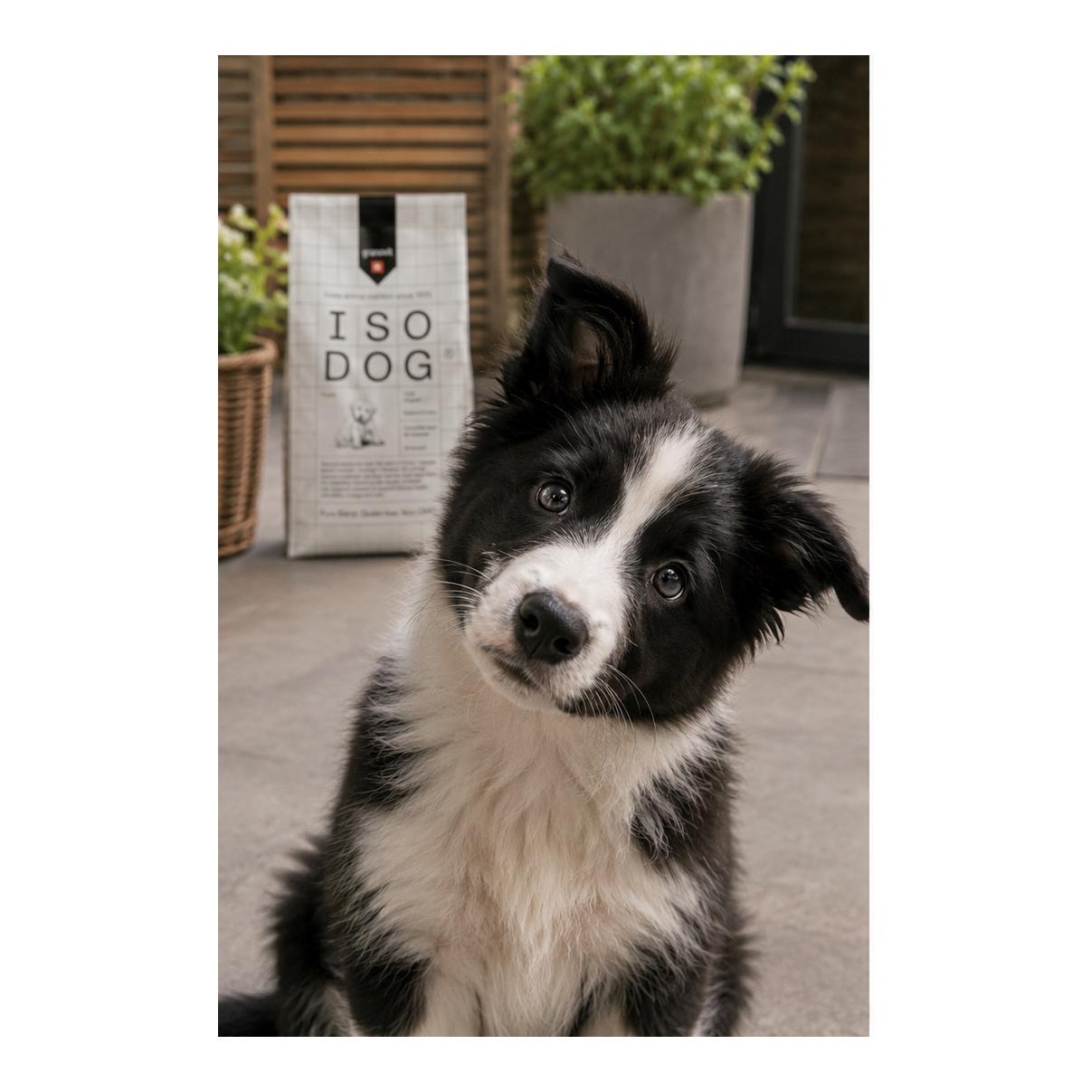 Iso-Dog Puppy Original Kaninchen & Geflügel