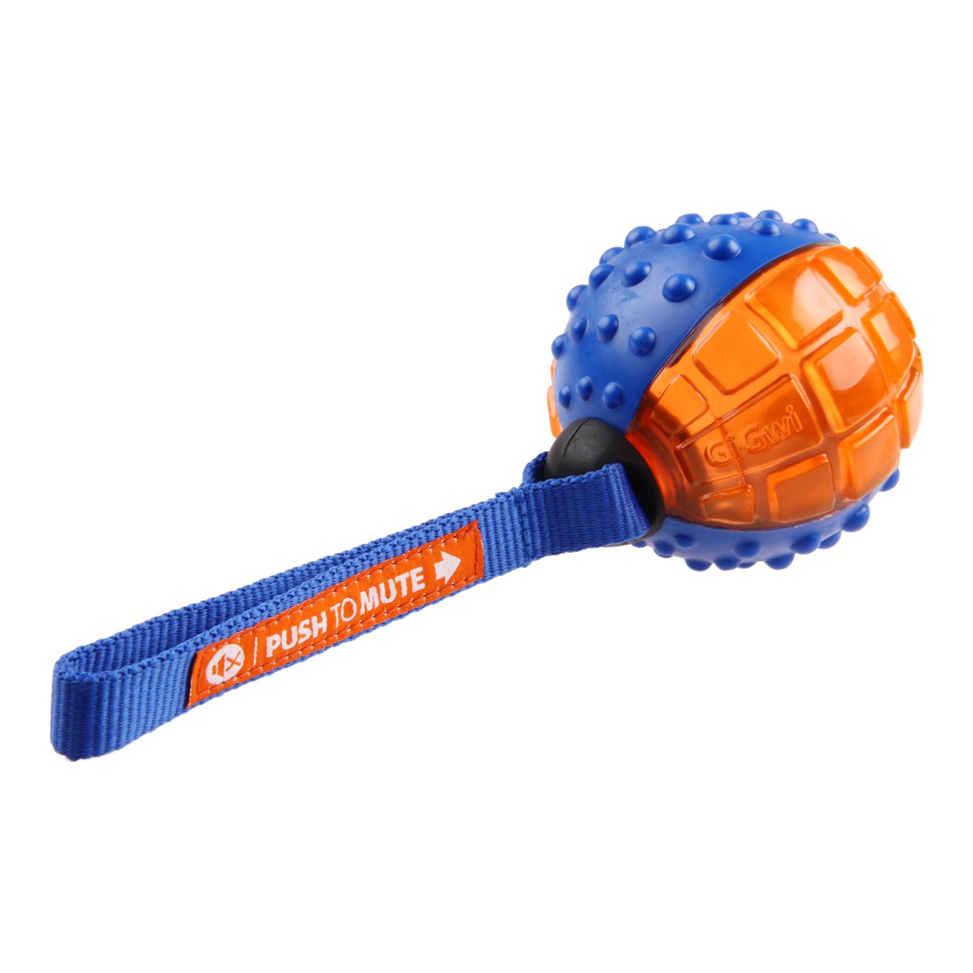 Gigwi Anneau d'entraînement 60cm