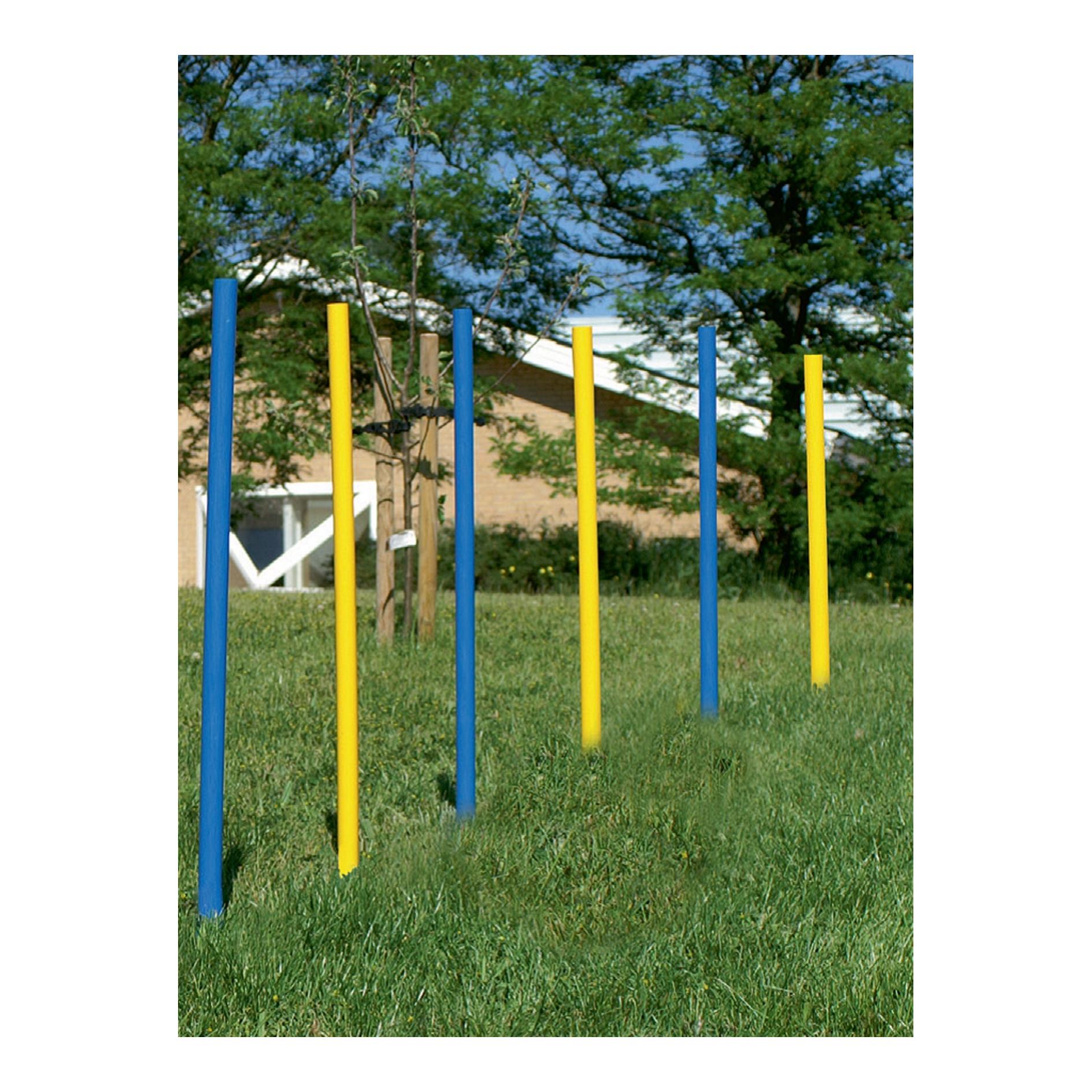 Agility Slalomstangen Set