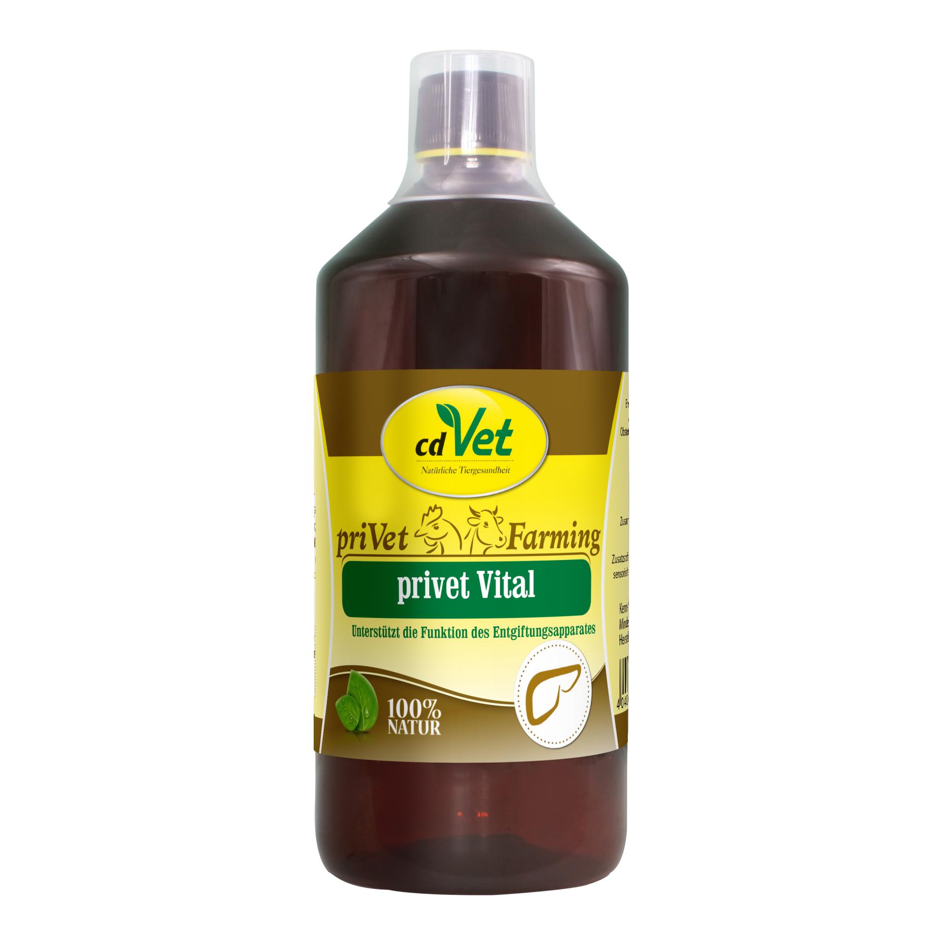 cdVet privet Vital