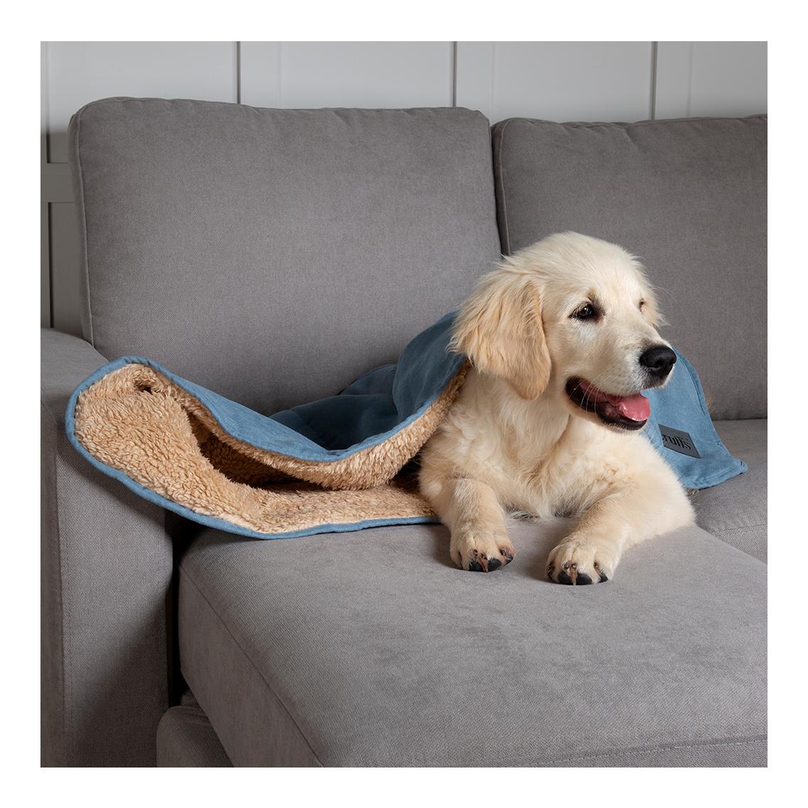 Scruffs Couverture douillette pour chiens