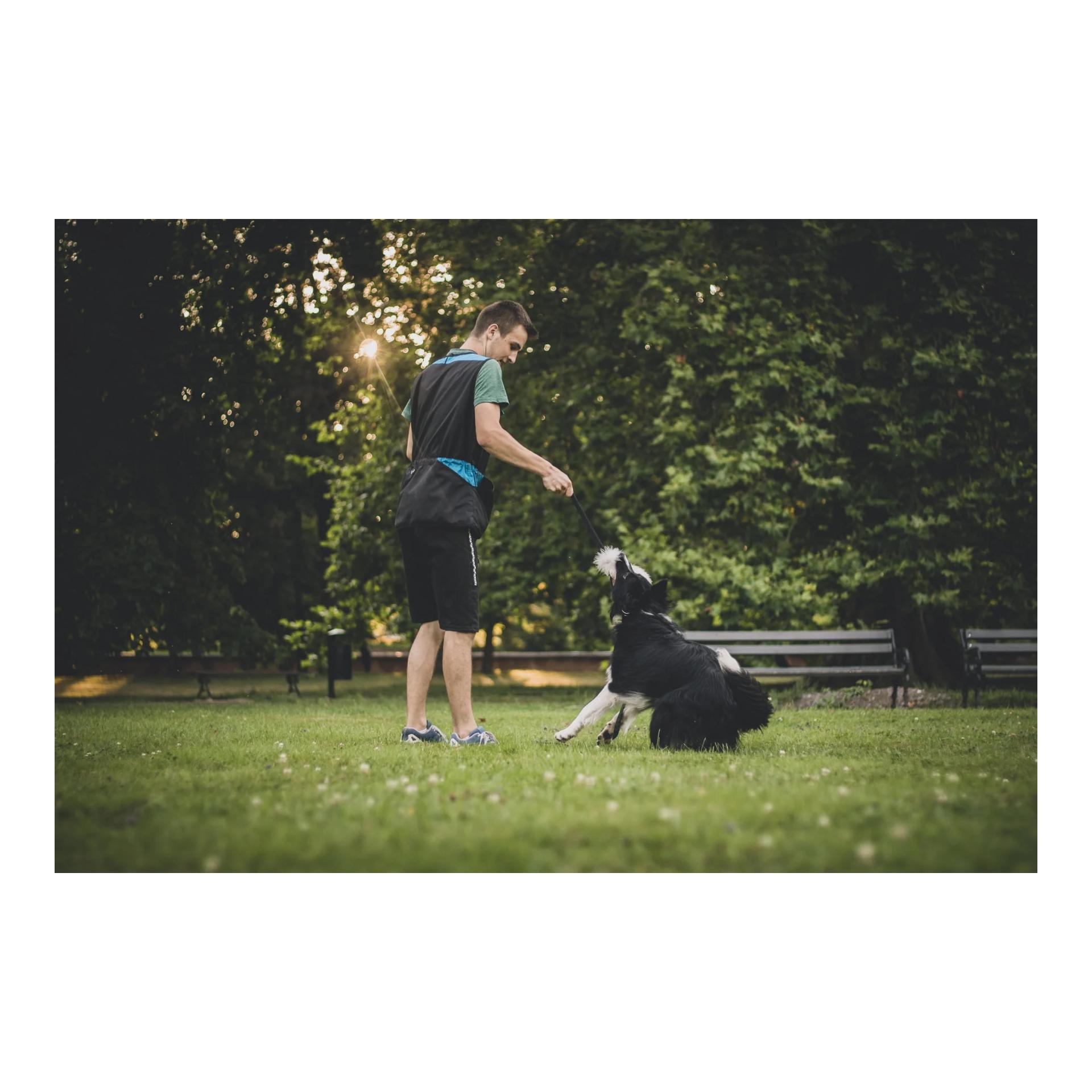 Dingo Gear Trainingsweste für Hundehalter