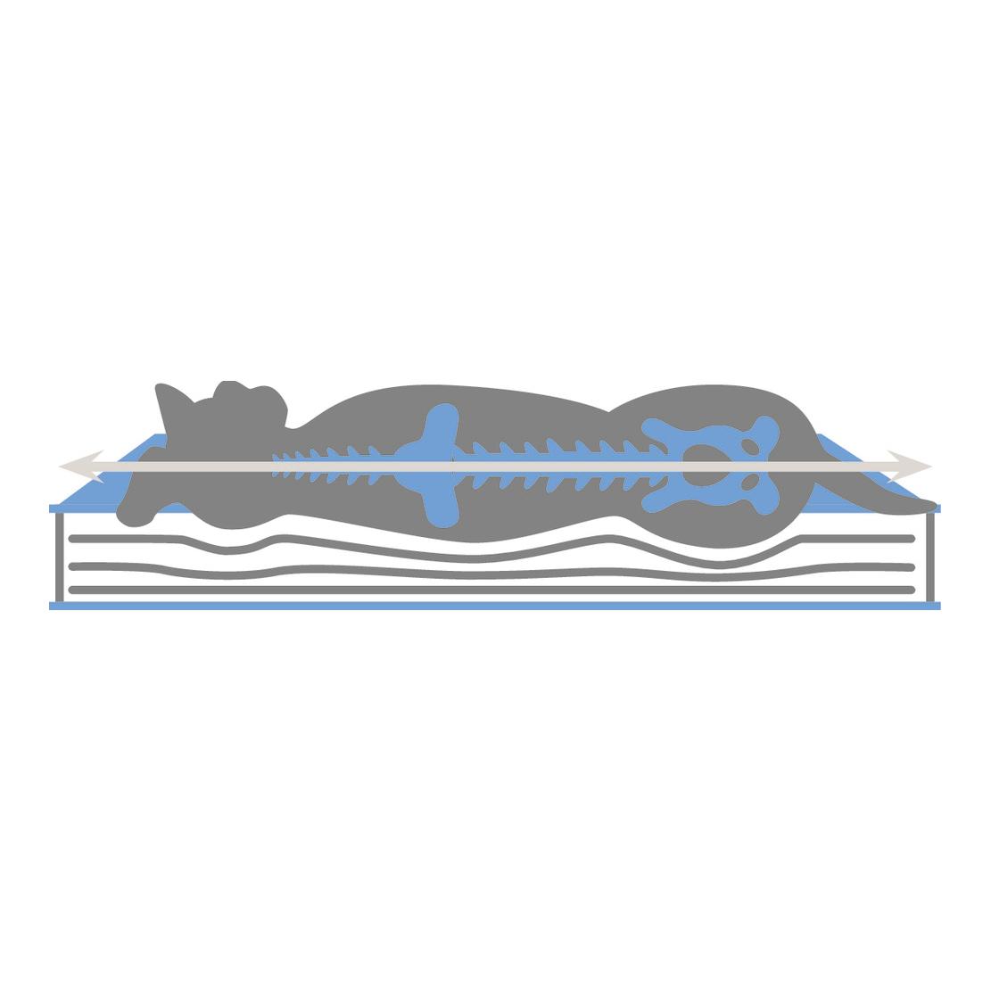 Kerbl Pet Matelas en mousse à mémoire de forme