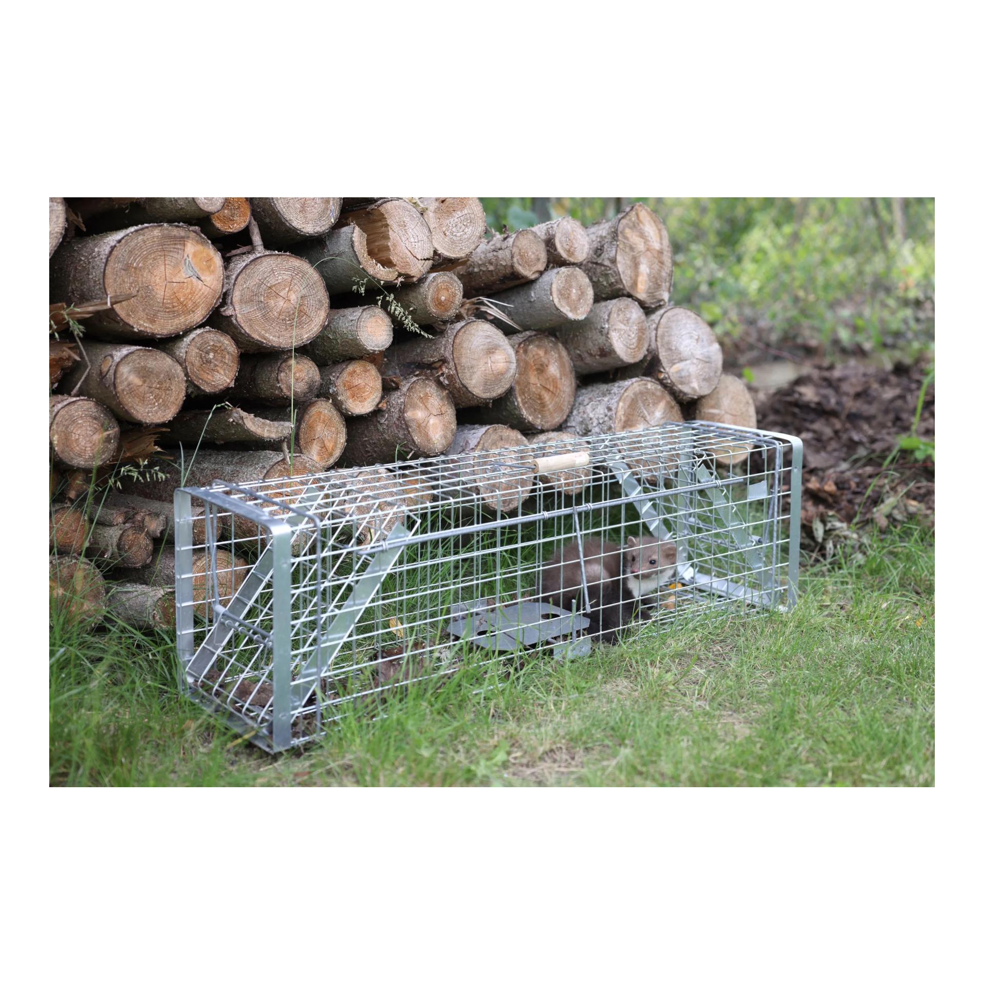Kerbl Piège à cage Alive Predator Super