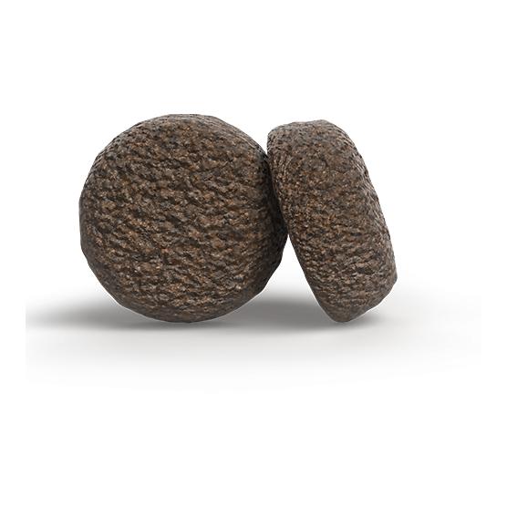 Josera Adult saumon & pomme de terre