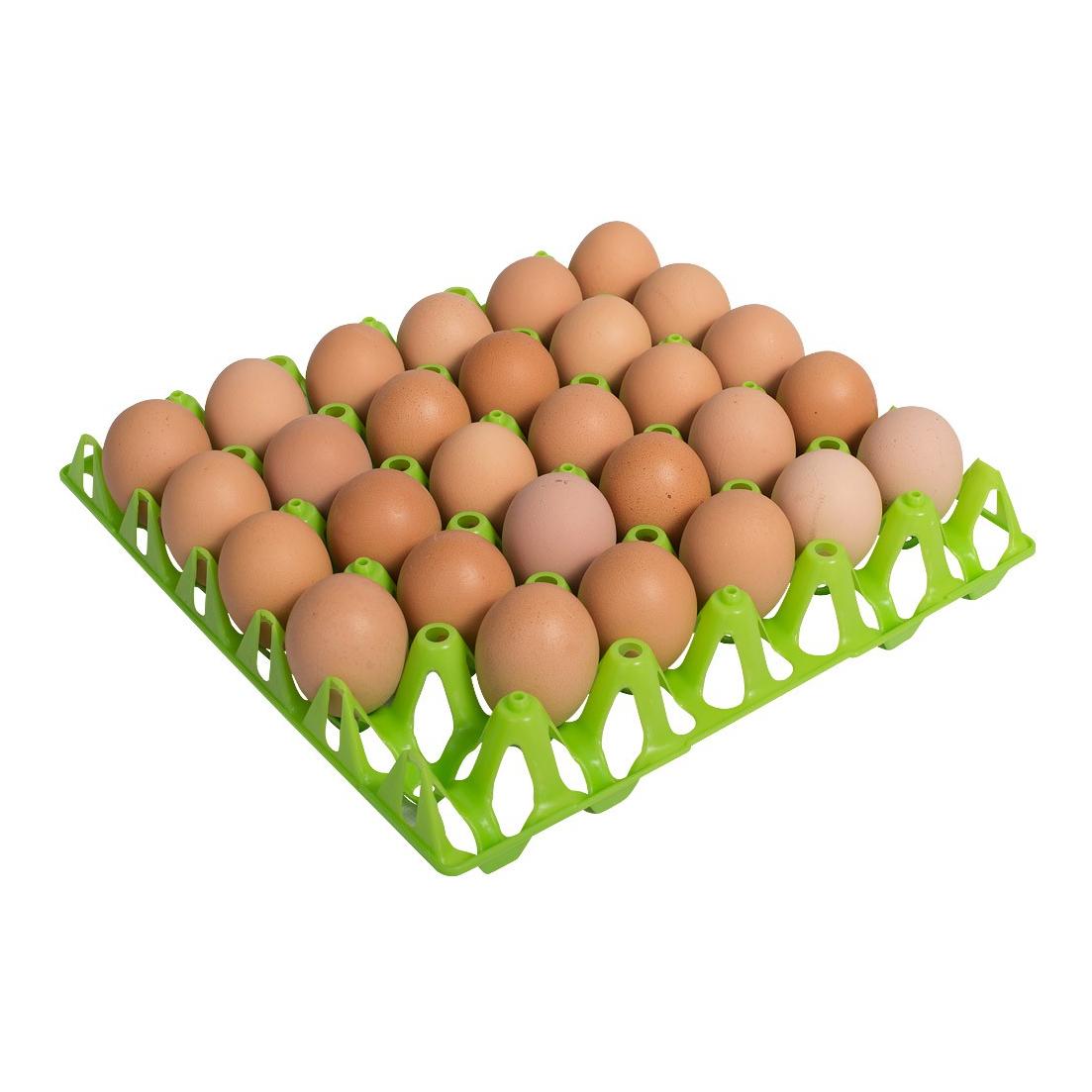 Olba Eierhorde für 30 Hühnereier