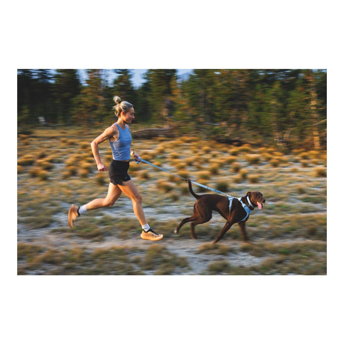 Ruffwear Front Range™ Flex Laisse pour chien