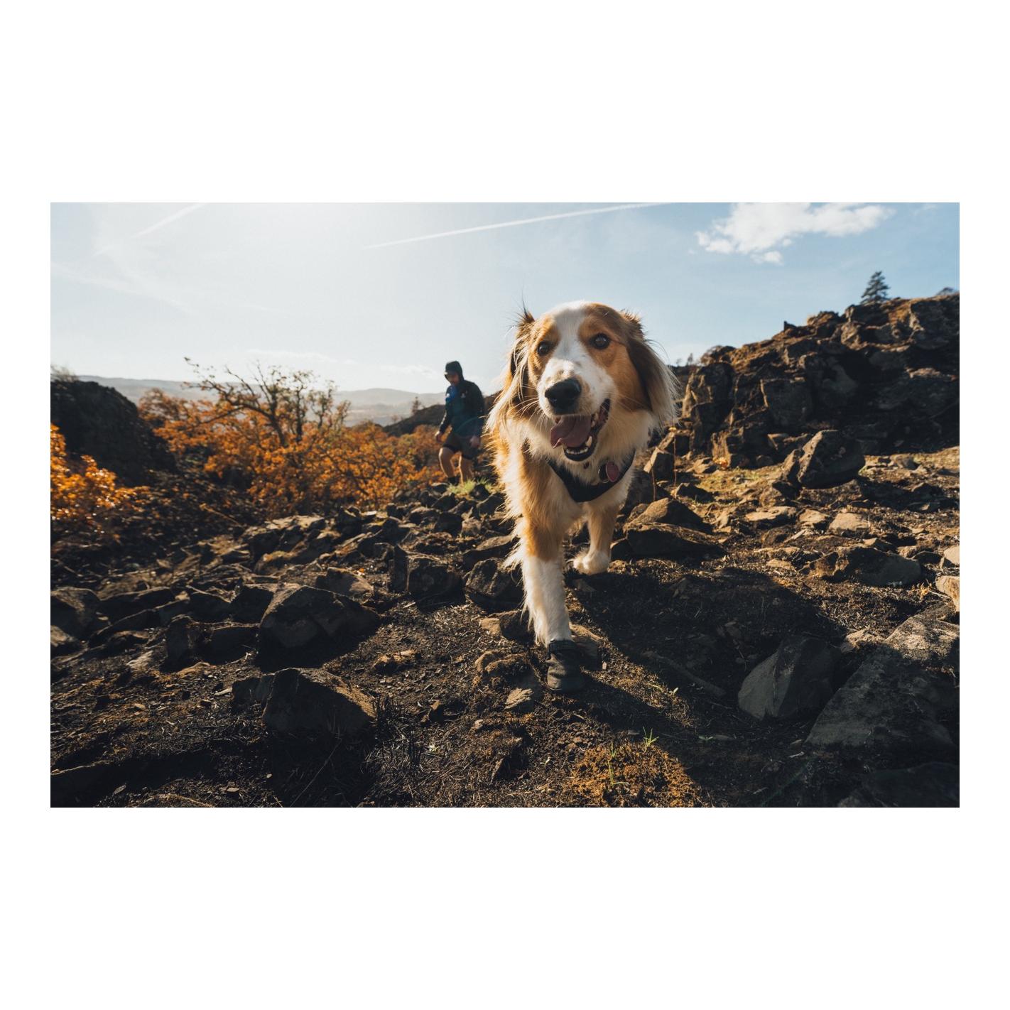 Ruffwear Ridgeline™ Chaussures pour chiens