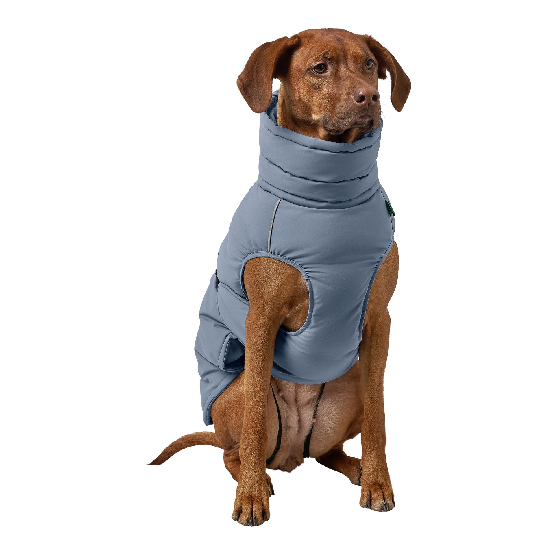 Hunter Manteau pour chien Paxson